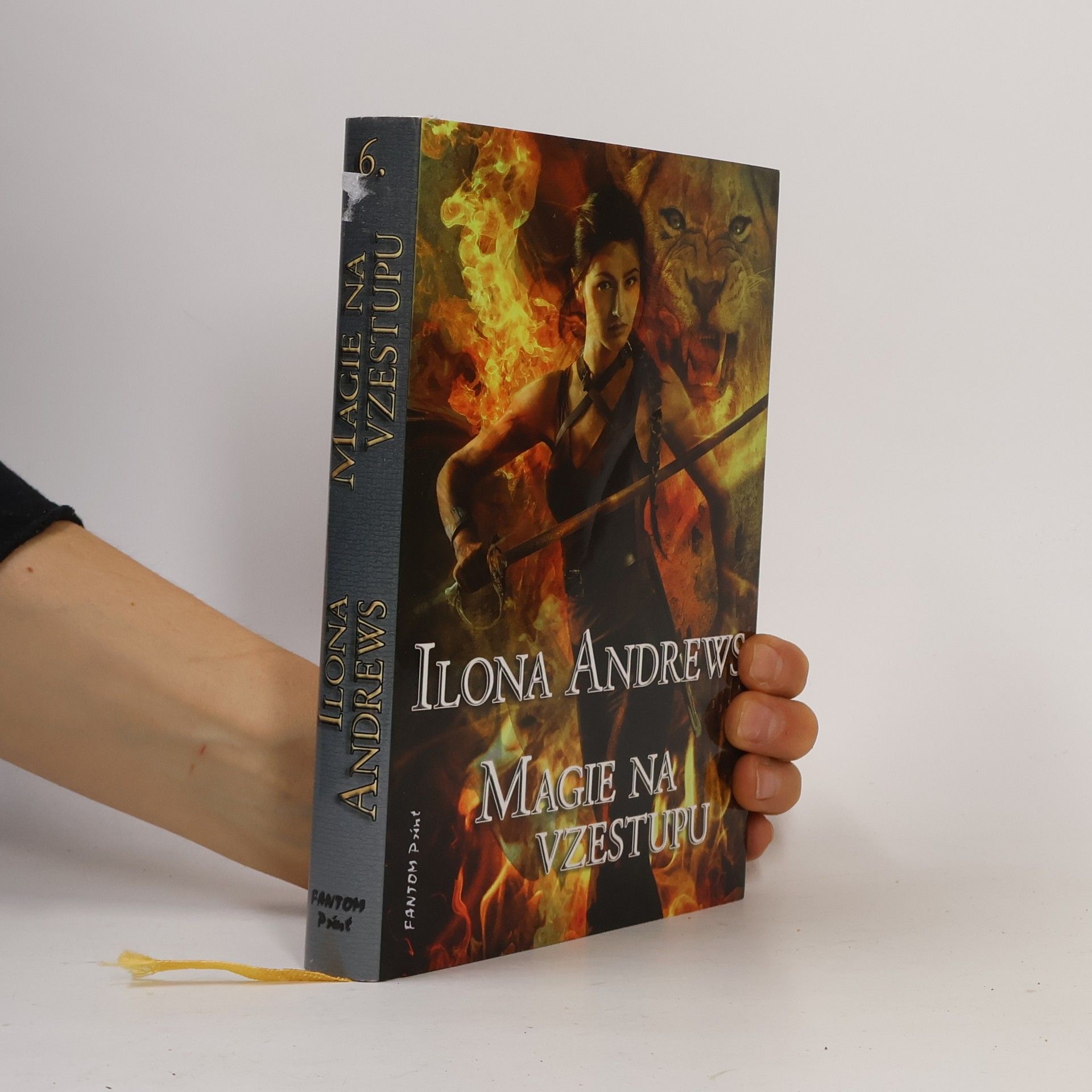 Ilona Andrews Magie na vzestupu