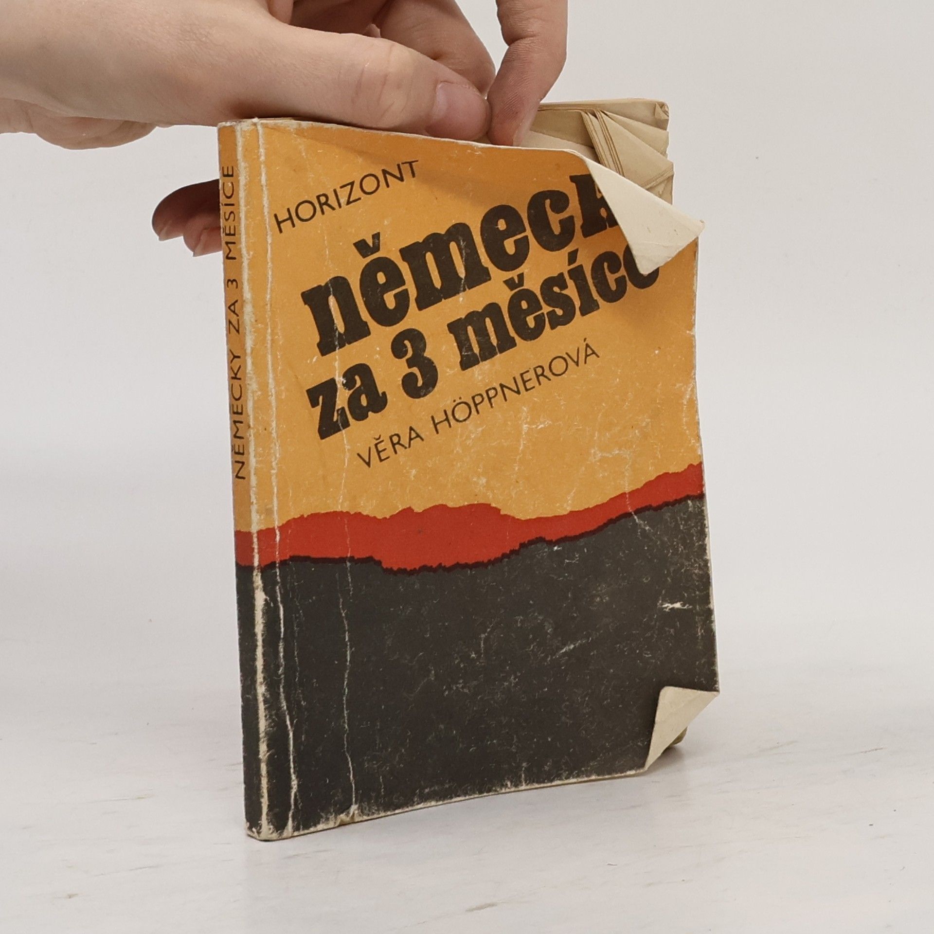 Věra Höppnerová Německy za 3 měsíce