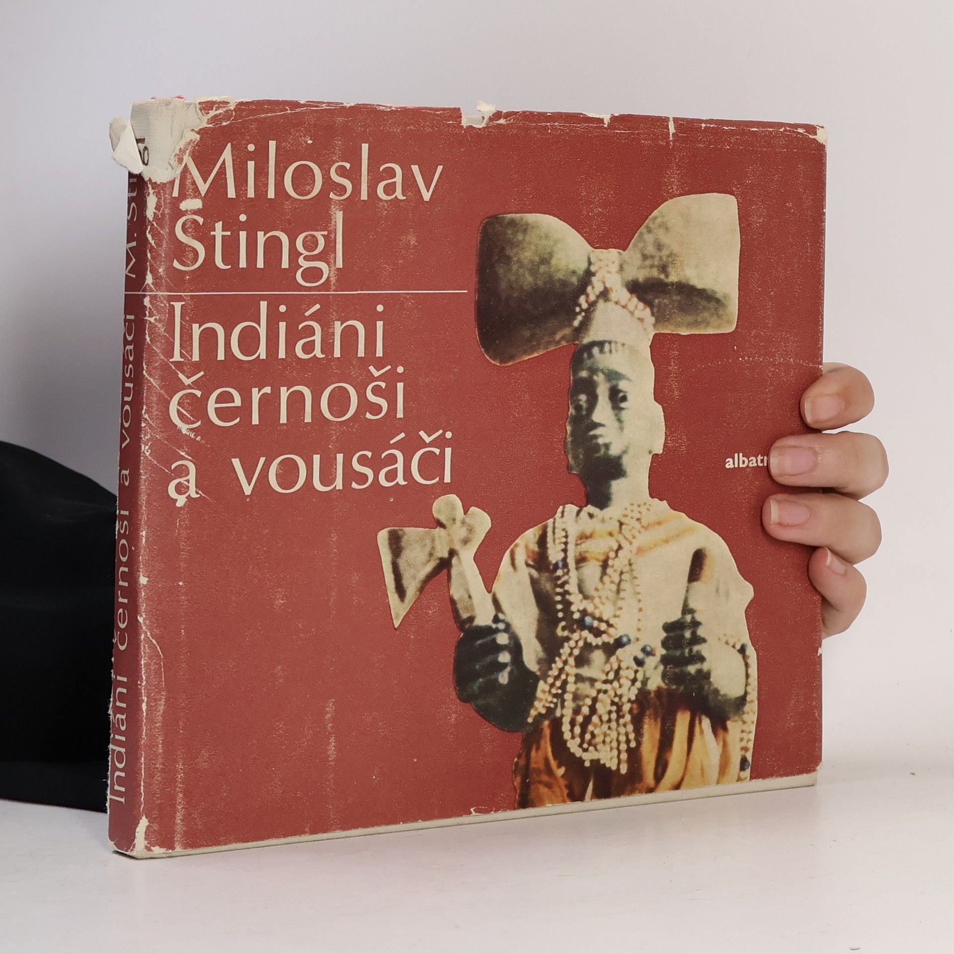 Miloslav Stingl Indiáni, černoši a vousáči