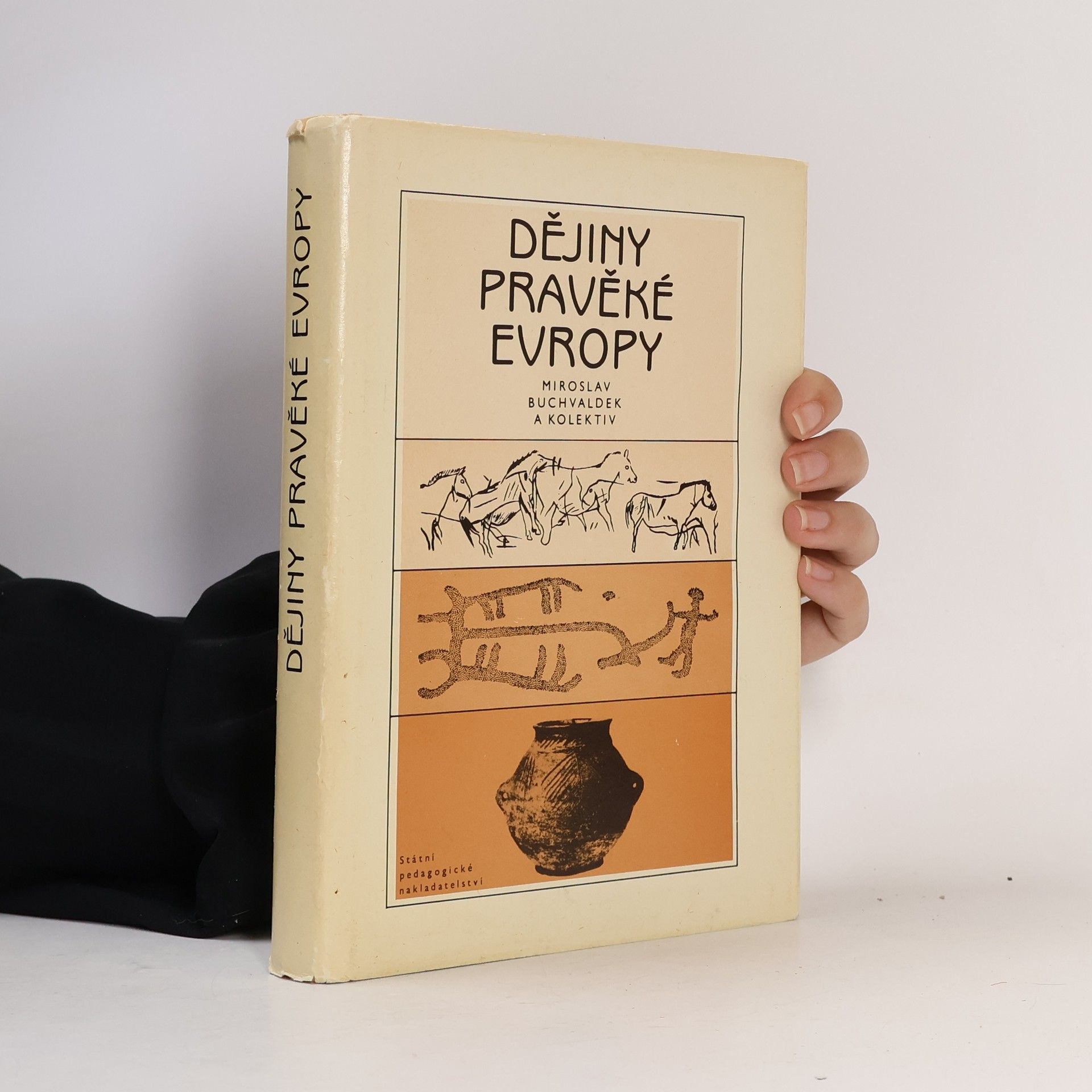 Miroslav Buchvaldek Dějiny pravěké Evropy