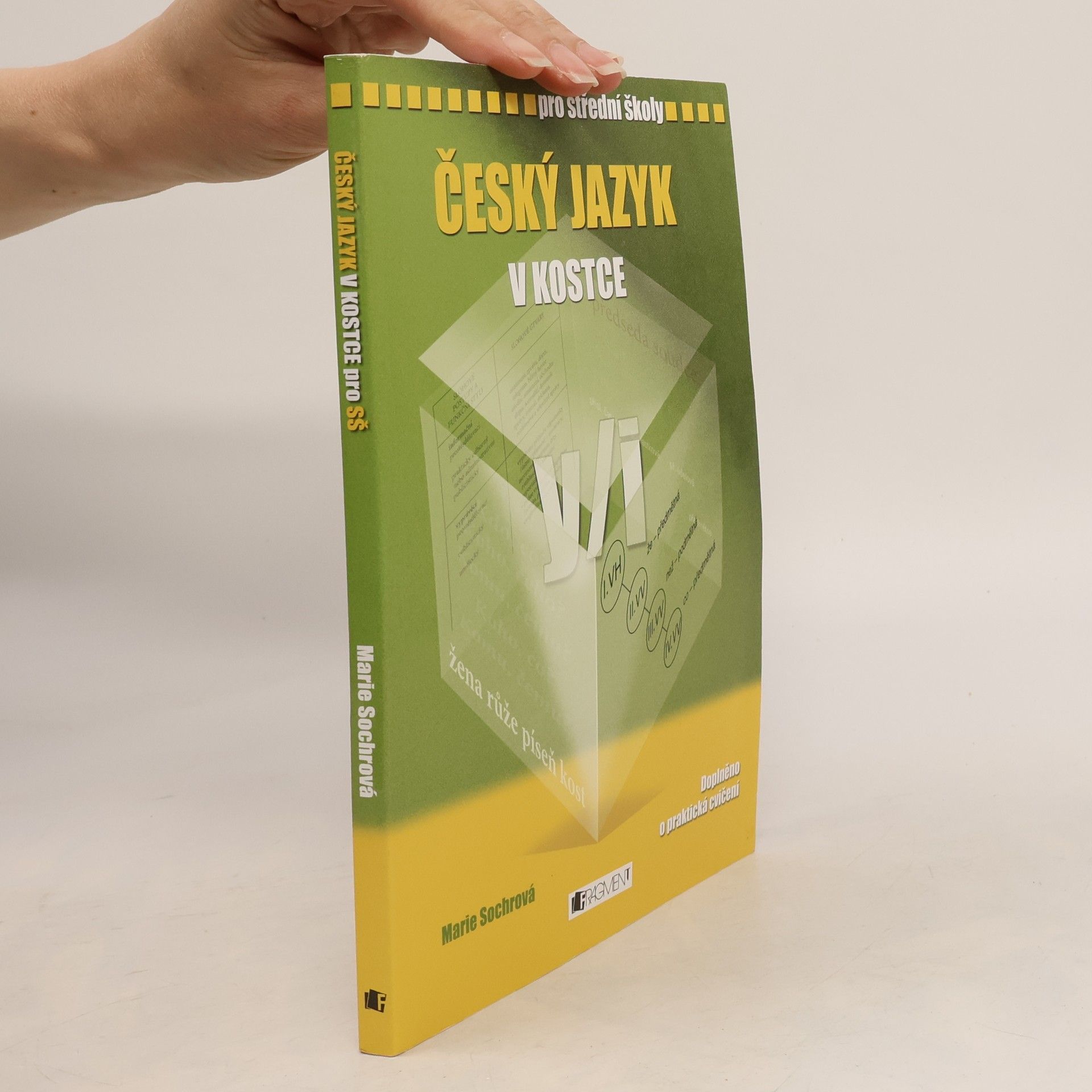 Marie Sochrová Český jazyk v kostce : pro střední školy