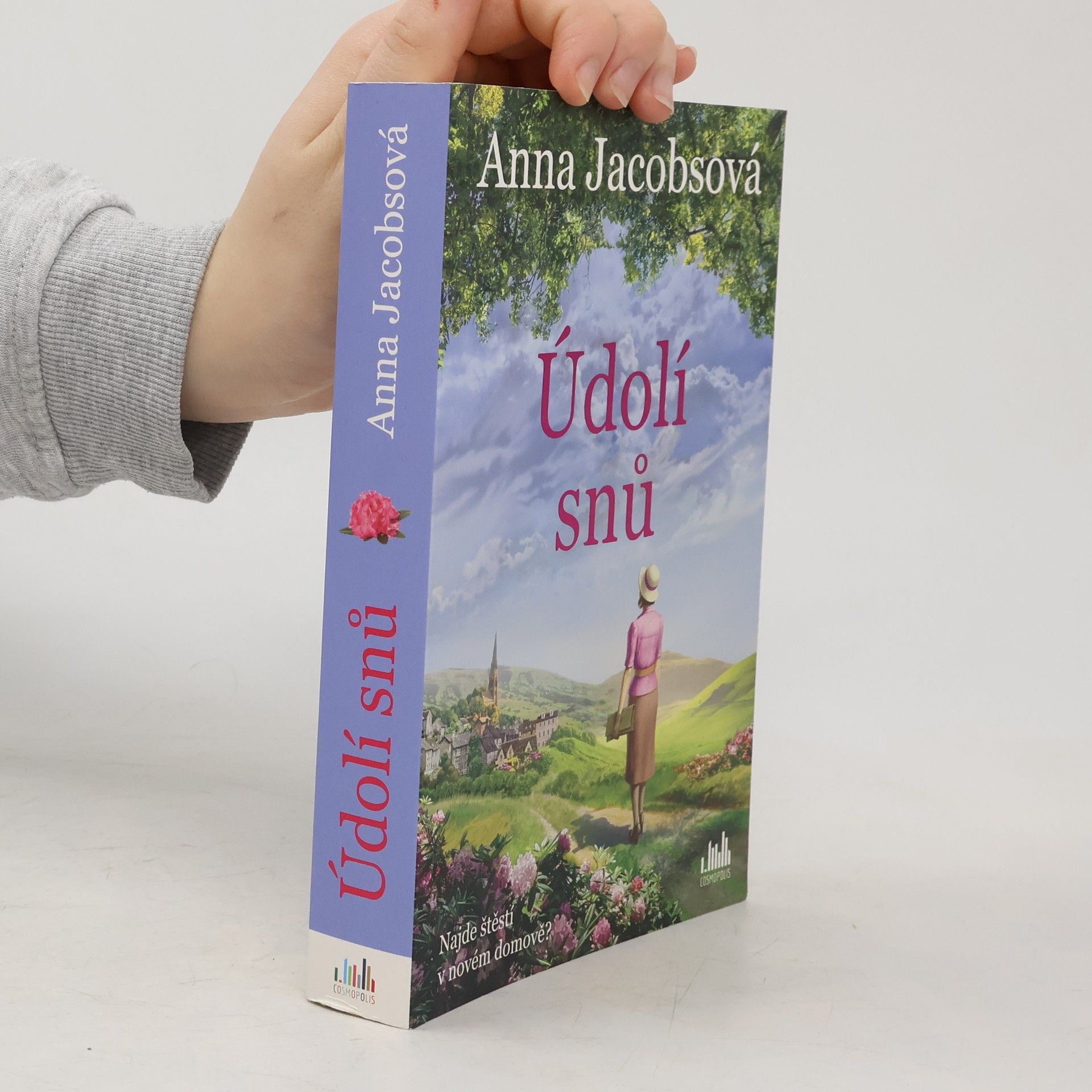Anna Jacobs Údolí snů