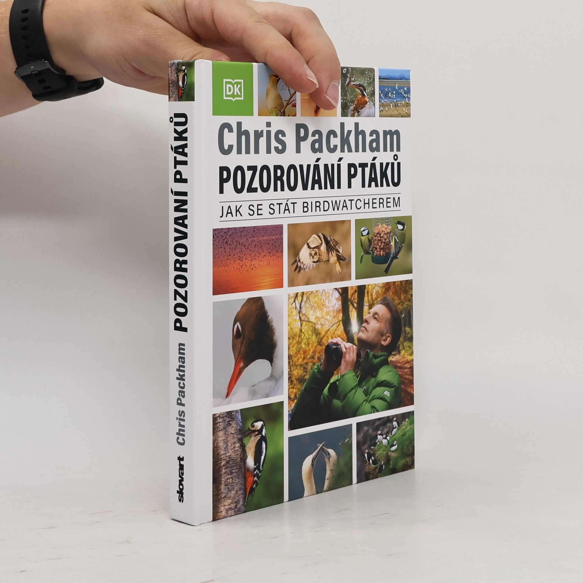 Pozorování ptáků