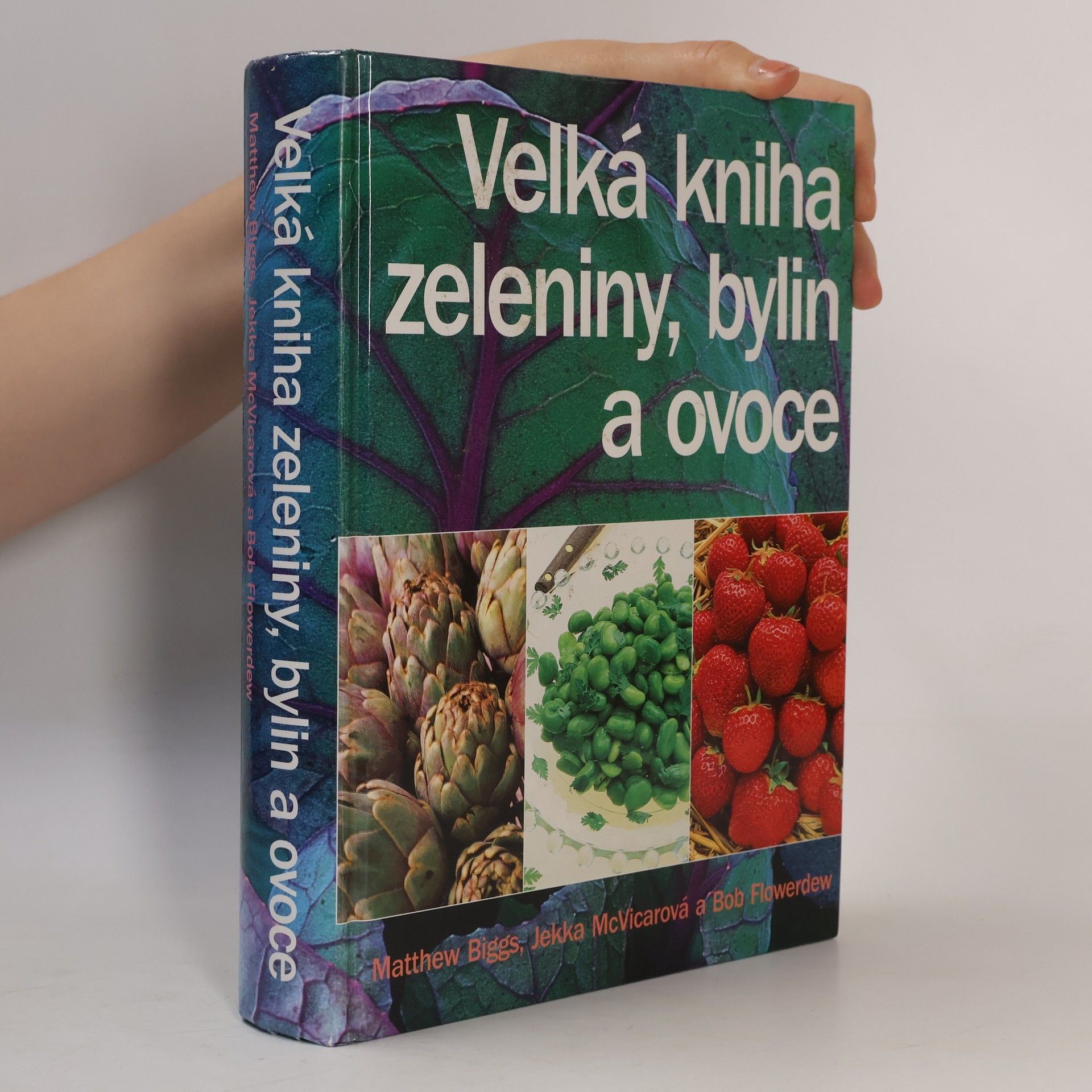 Matthew Biggs Velká kniha zeleniny, bylin a ovoce
