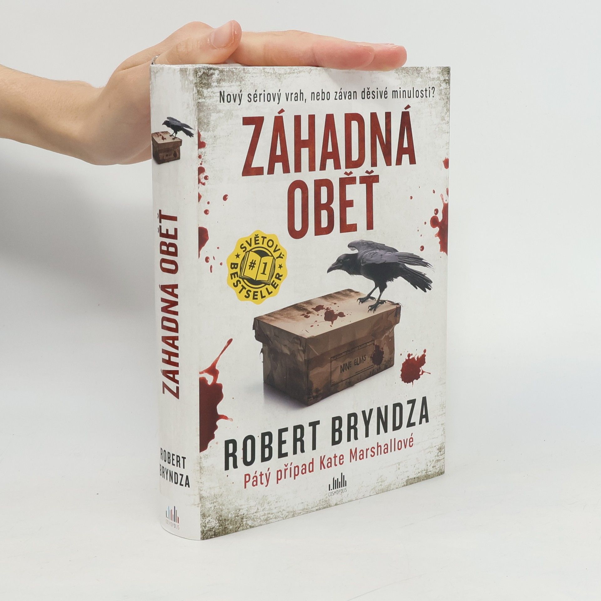 Robert Bryndza Záhadná oběť