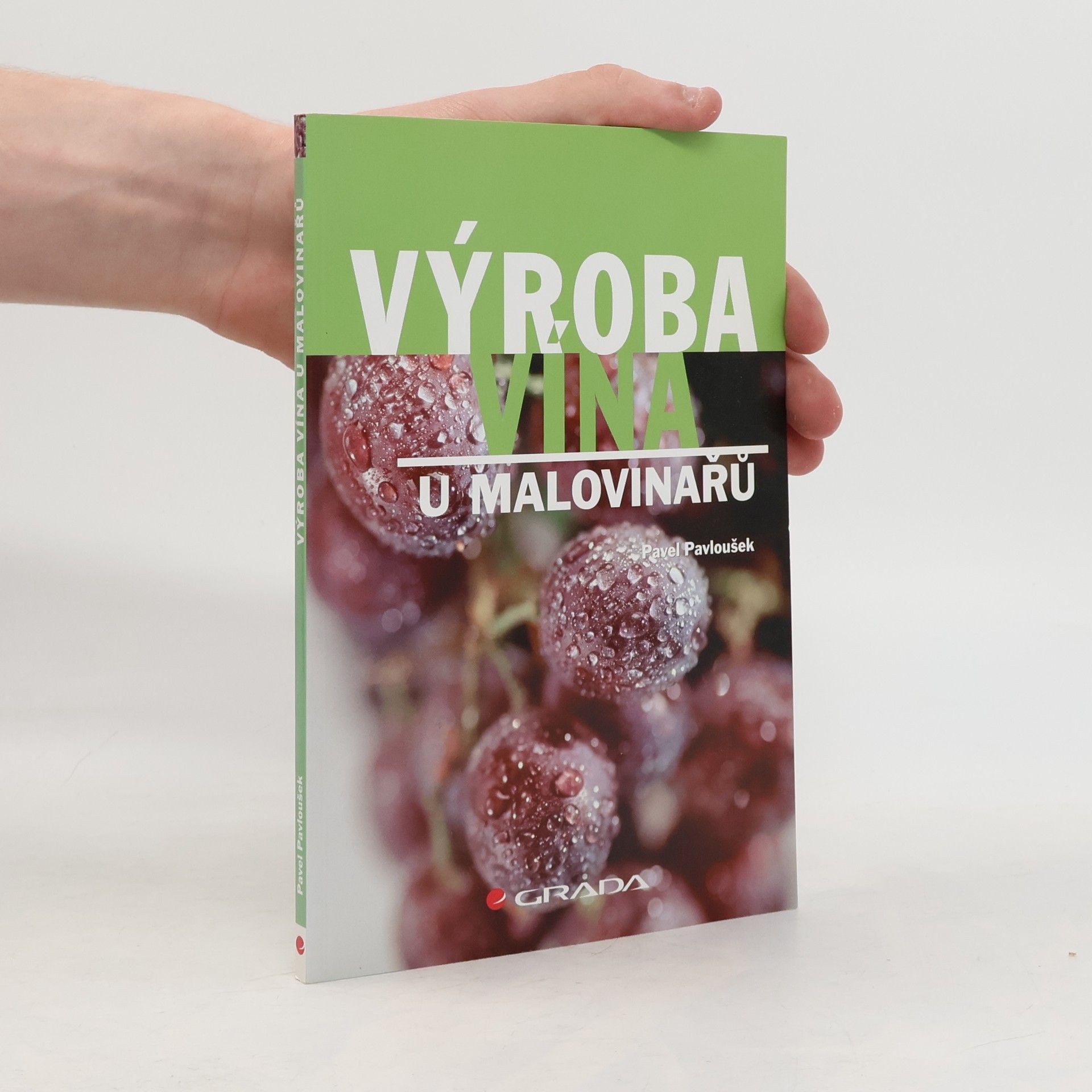 Pavel Pavloušek Výroba vína u malovinařů