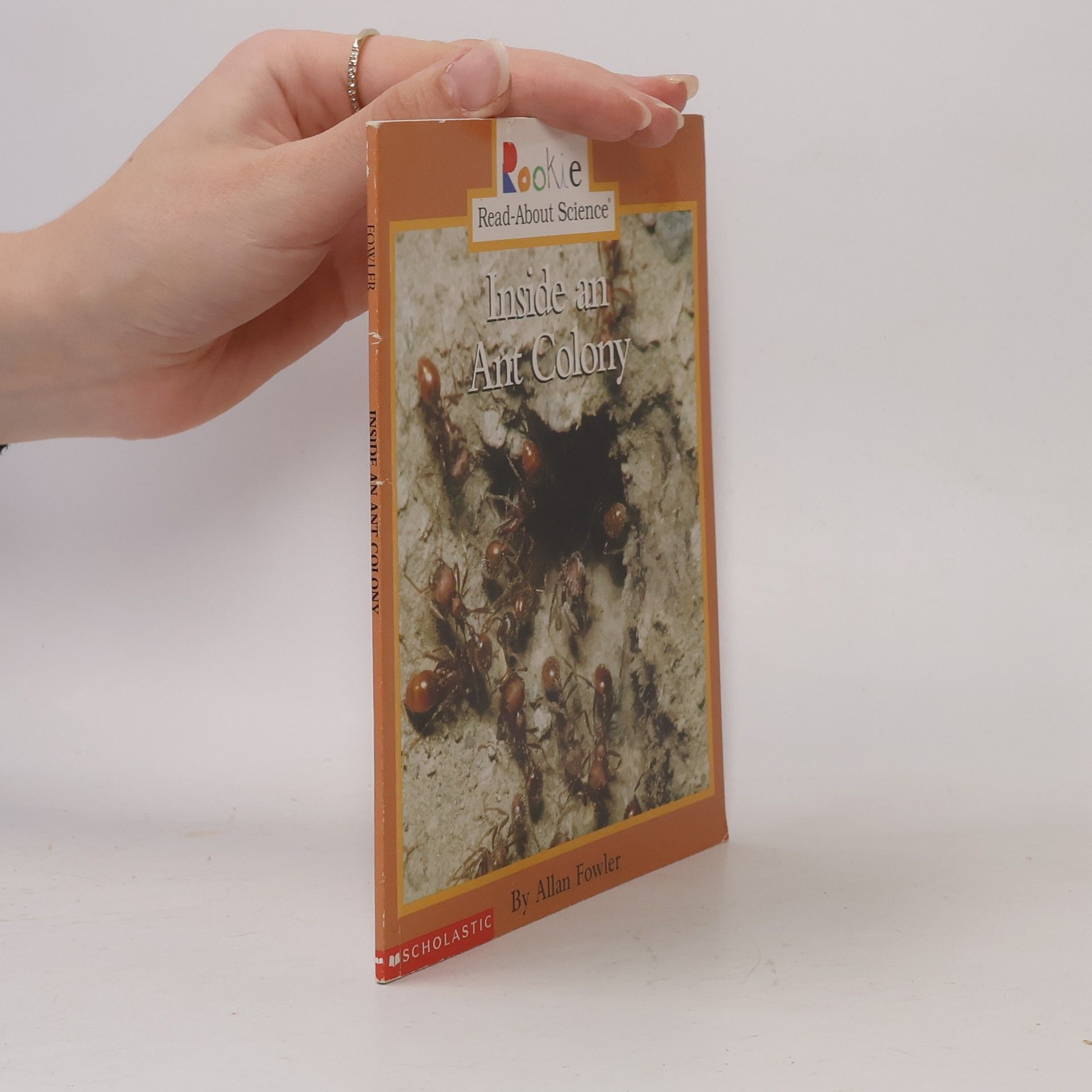 ALLAN FOWLER Inside an Ant Colony