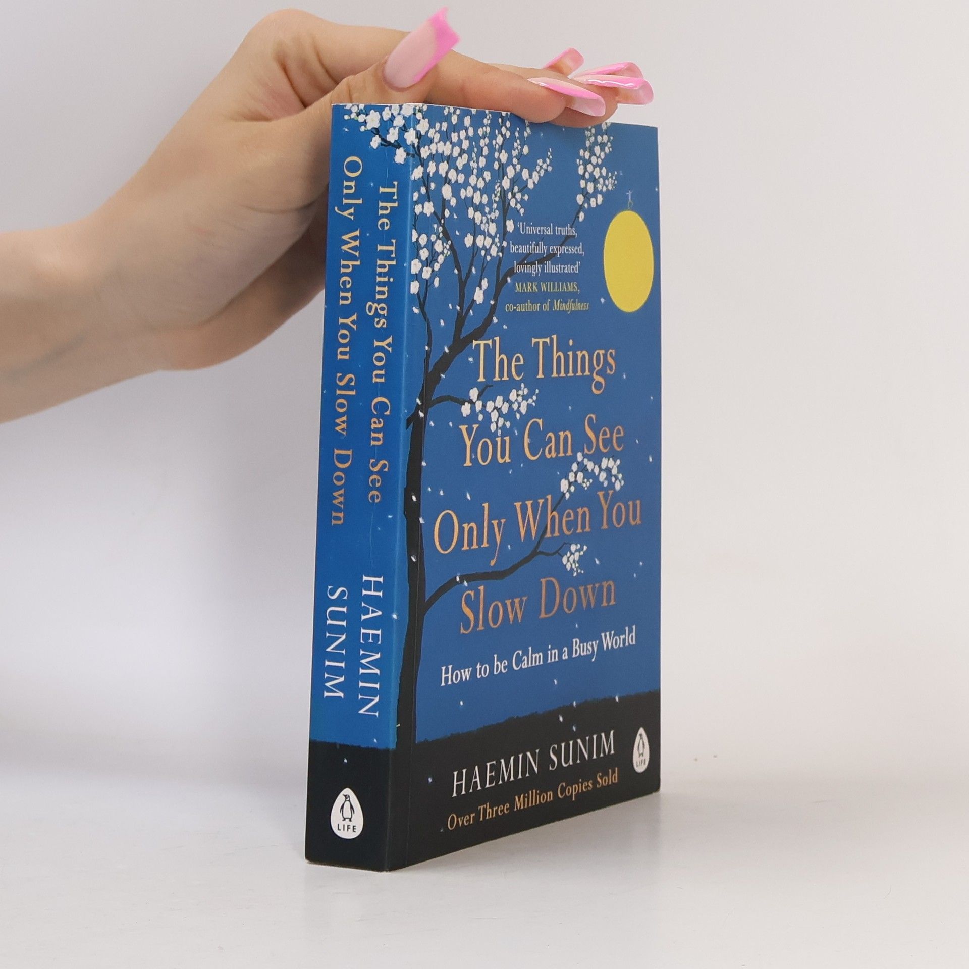 Sunim Haemin The Things You Can See Only When You Slow Down