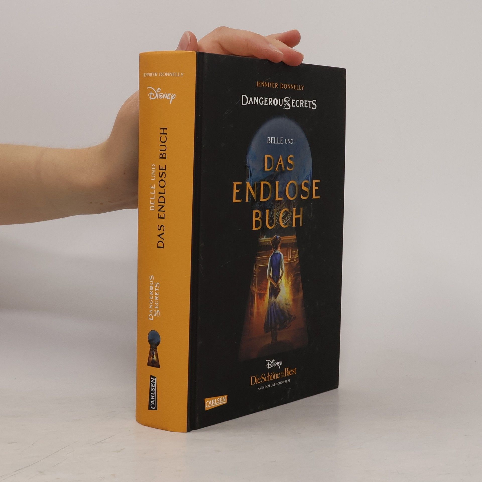 Jennifer Donnelly Das endlose Buch