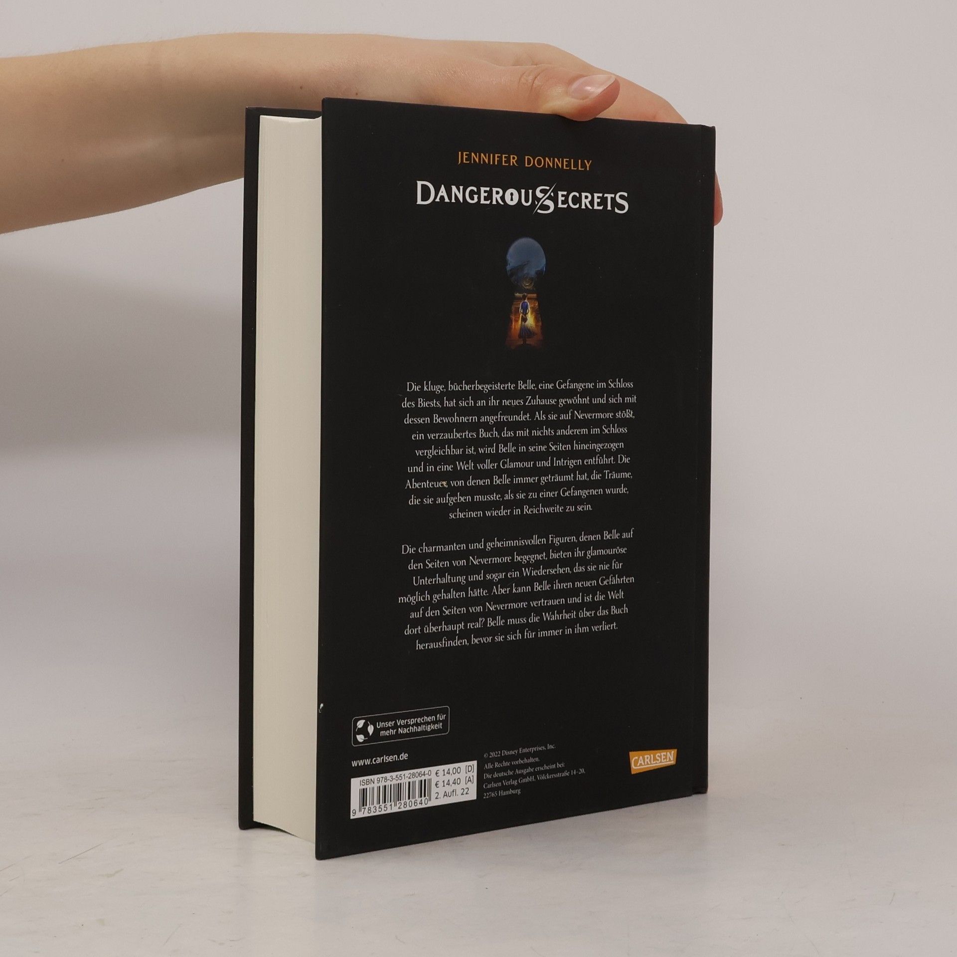 Jennifer Donnelly Das endlose Buch
