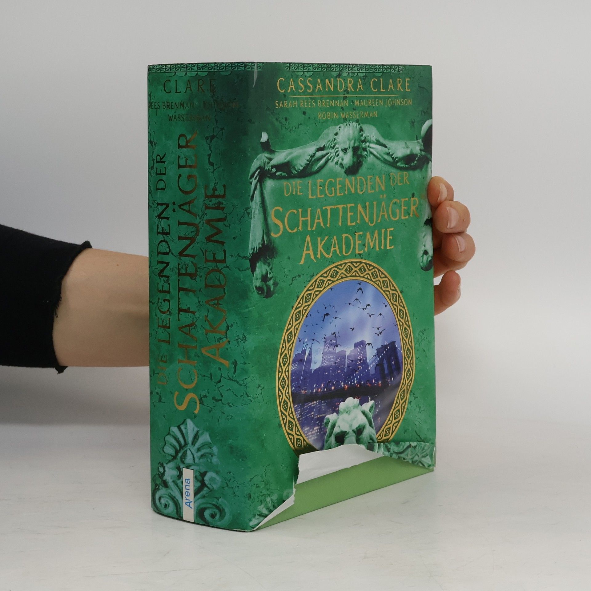 Cassandra Clare Legenden der Schattenjäger-Akademie