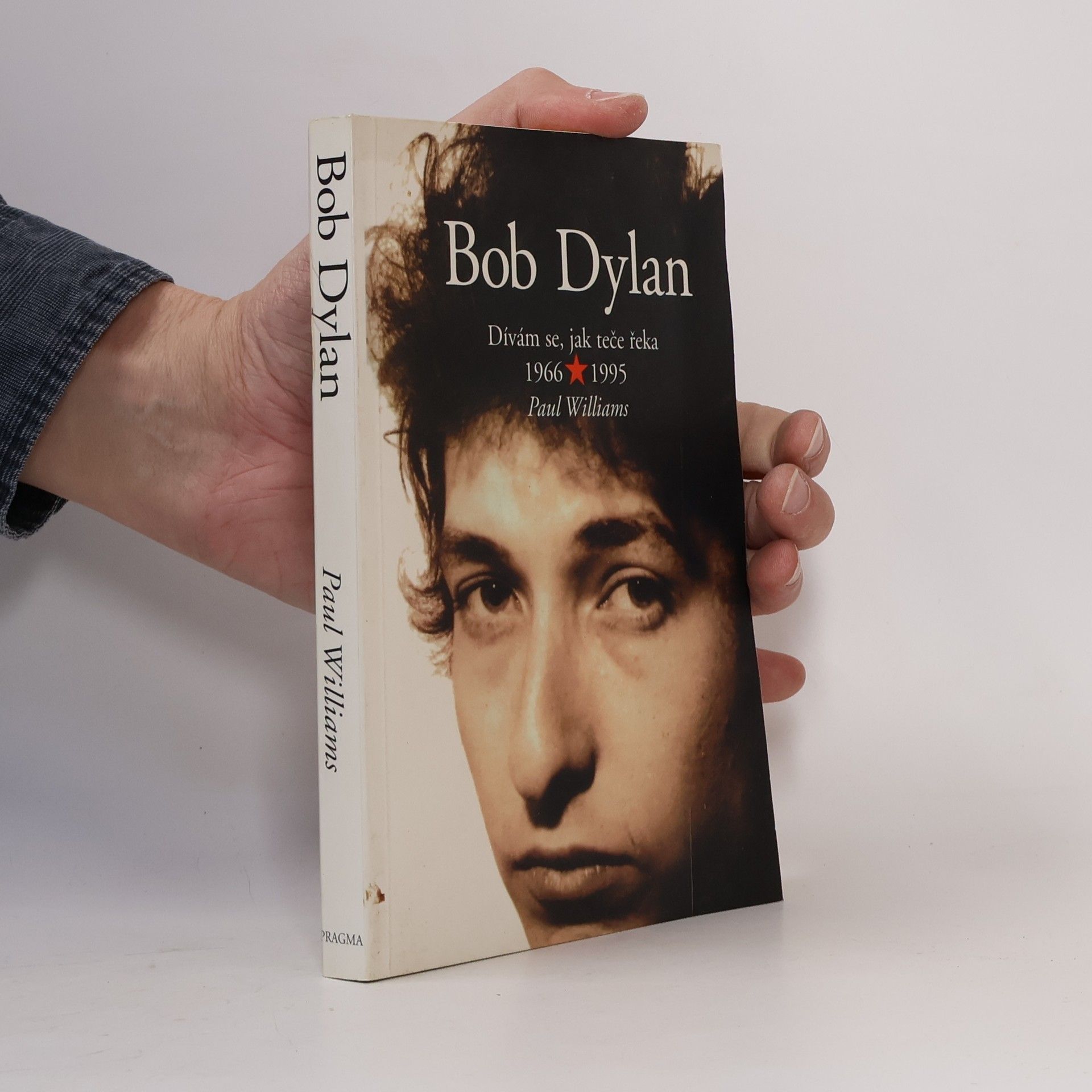 Paul Williams Bob Dylan - Dívám se, jak teče řeka 1966 - 1995