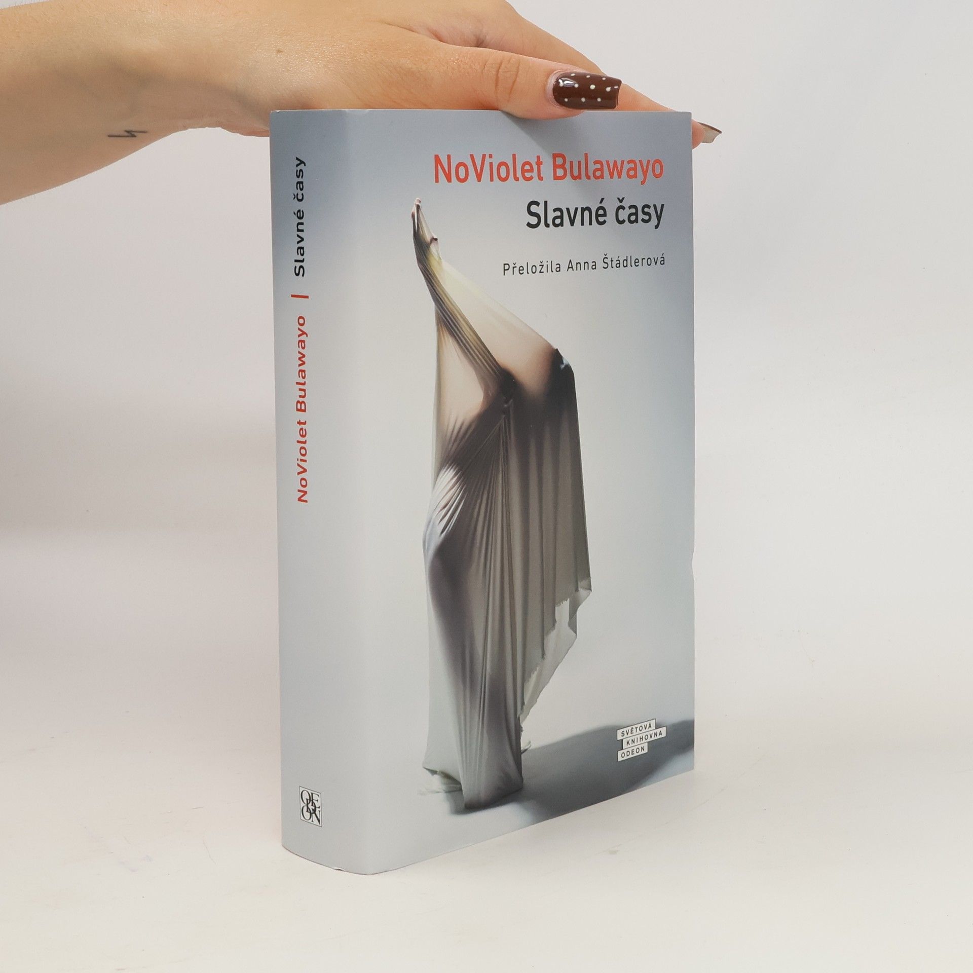 NoViolet Bulawayo Slavné časy