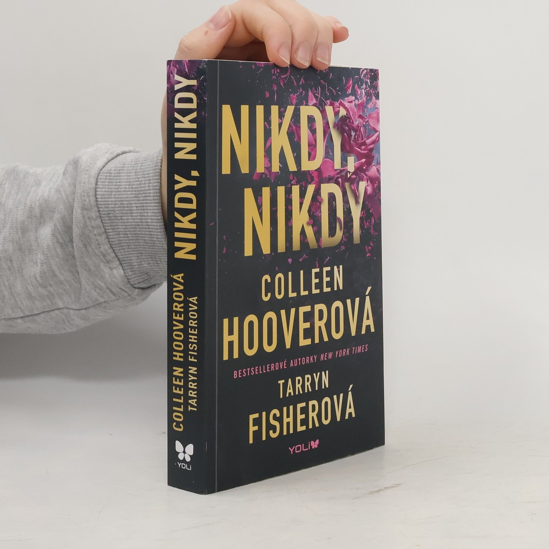 Colleen Hoover Nikdy, nikdy