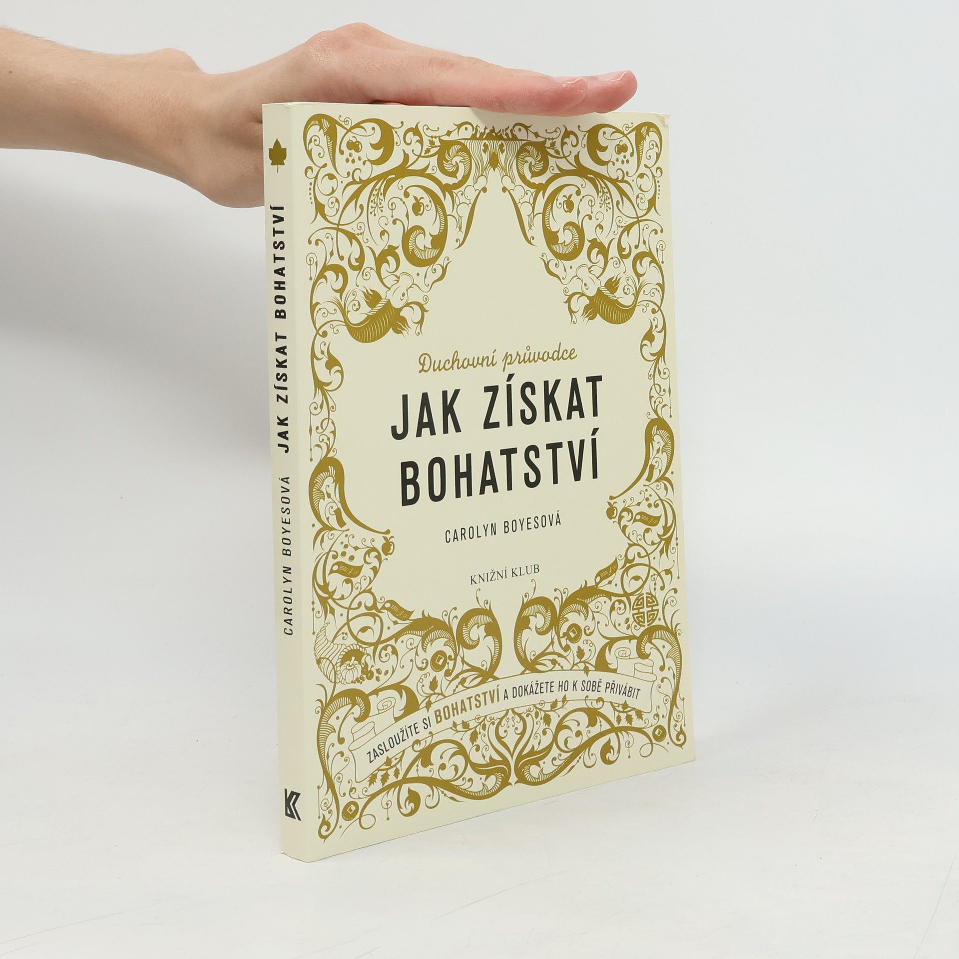 Carolyn Boyes Jak získat bohatství. Zasloužíte si bohatství a dokážete ho k sobě přivábit: Duchovní průvodce