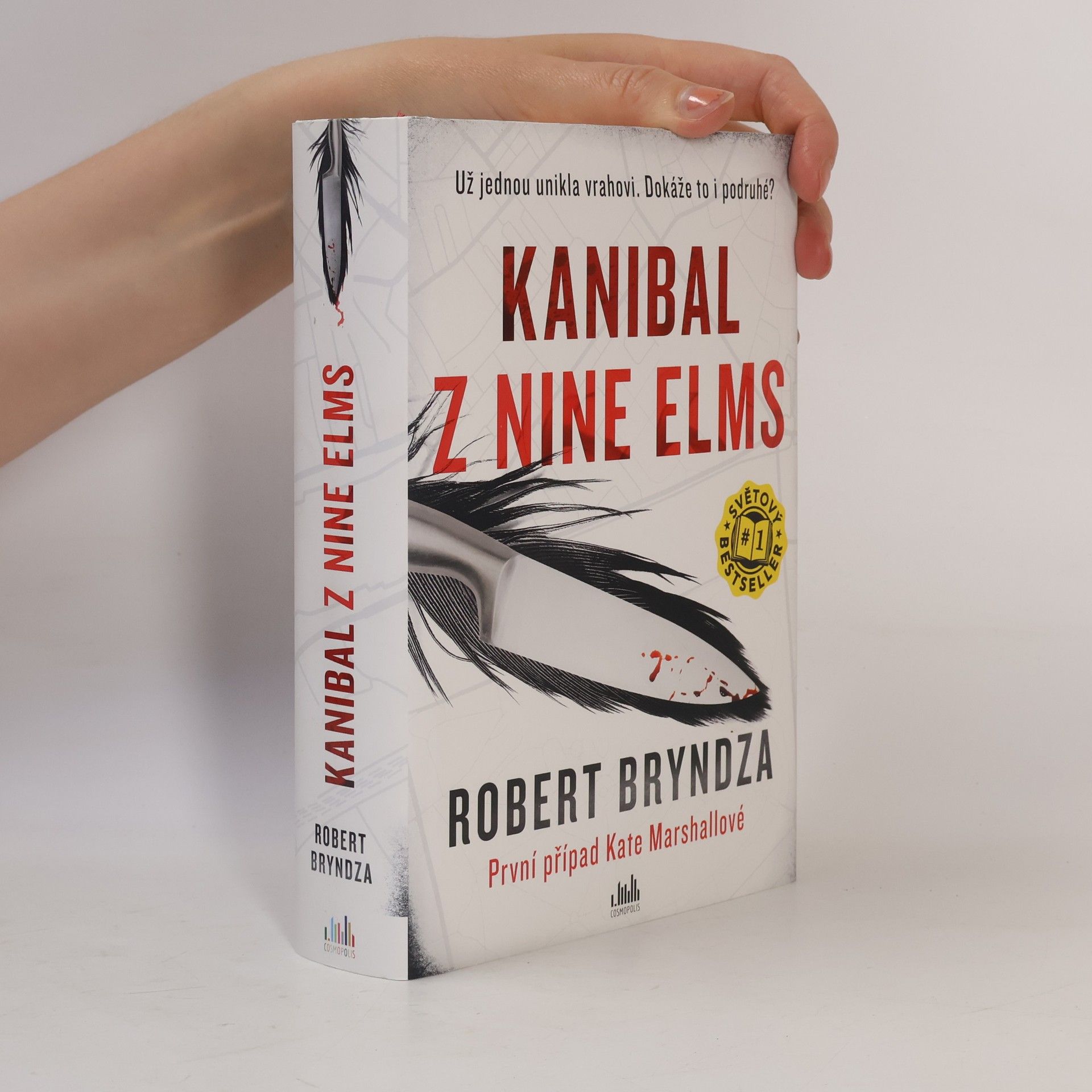 Robert Bryndza Kanibal z Nine Elms