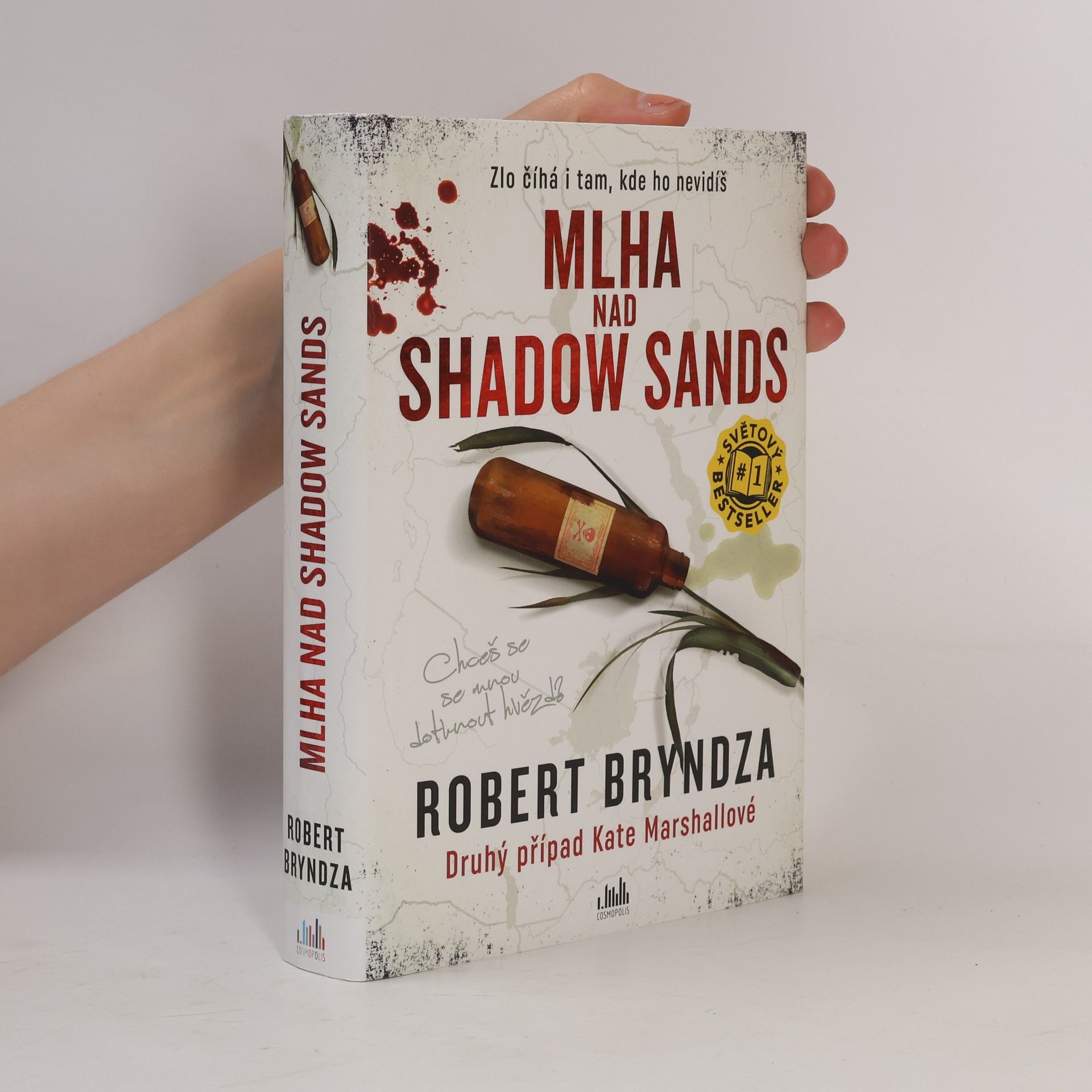 Robert Bryndza Mlha nad Shadow Sands