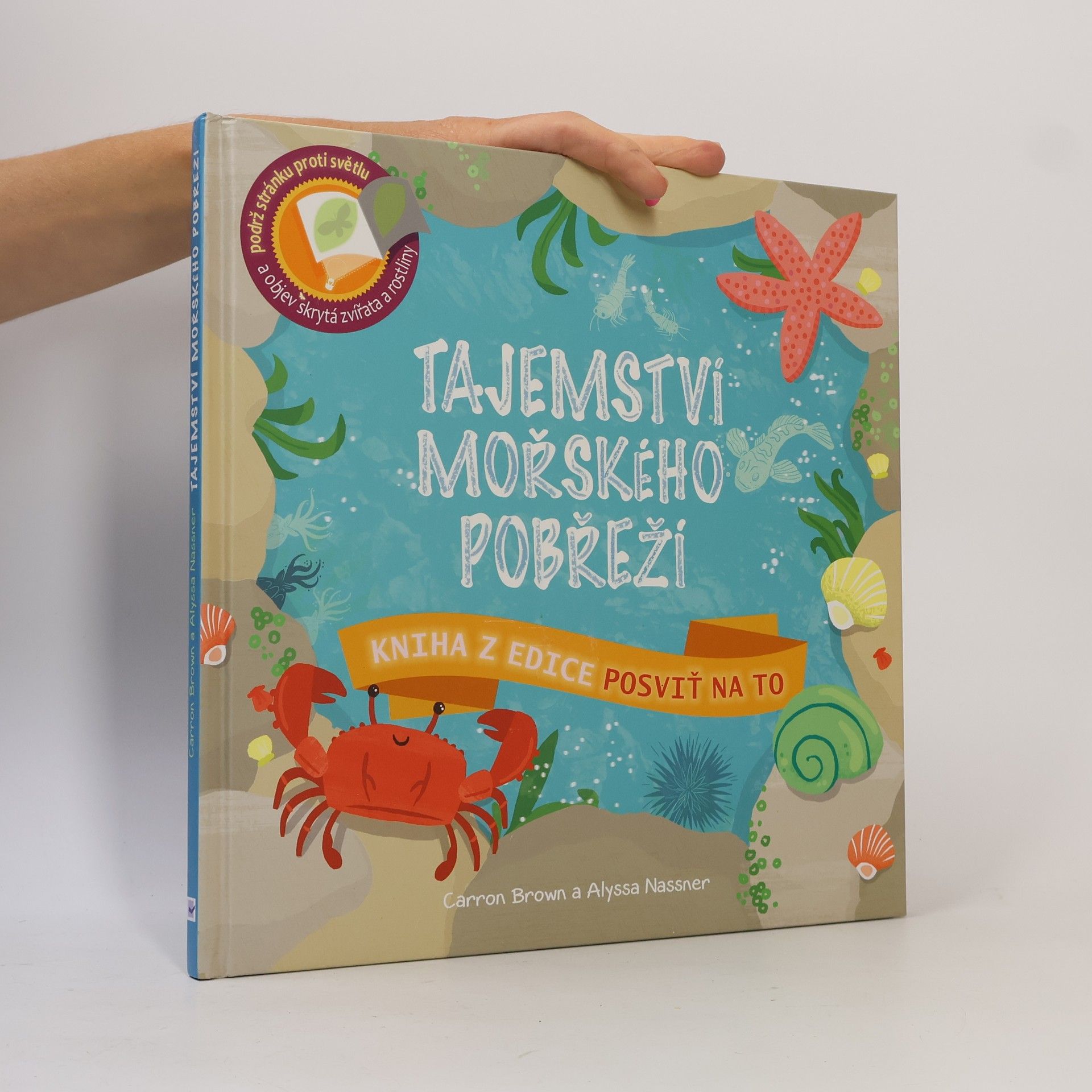 Carron Brown Tajemství mořského pobřeží