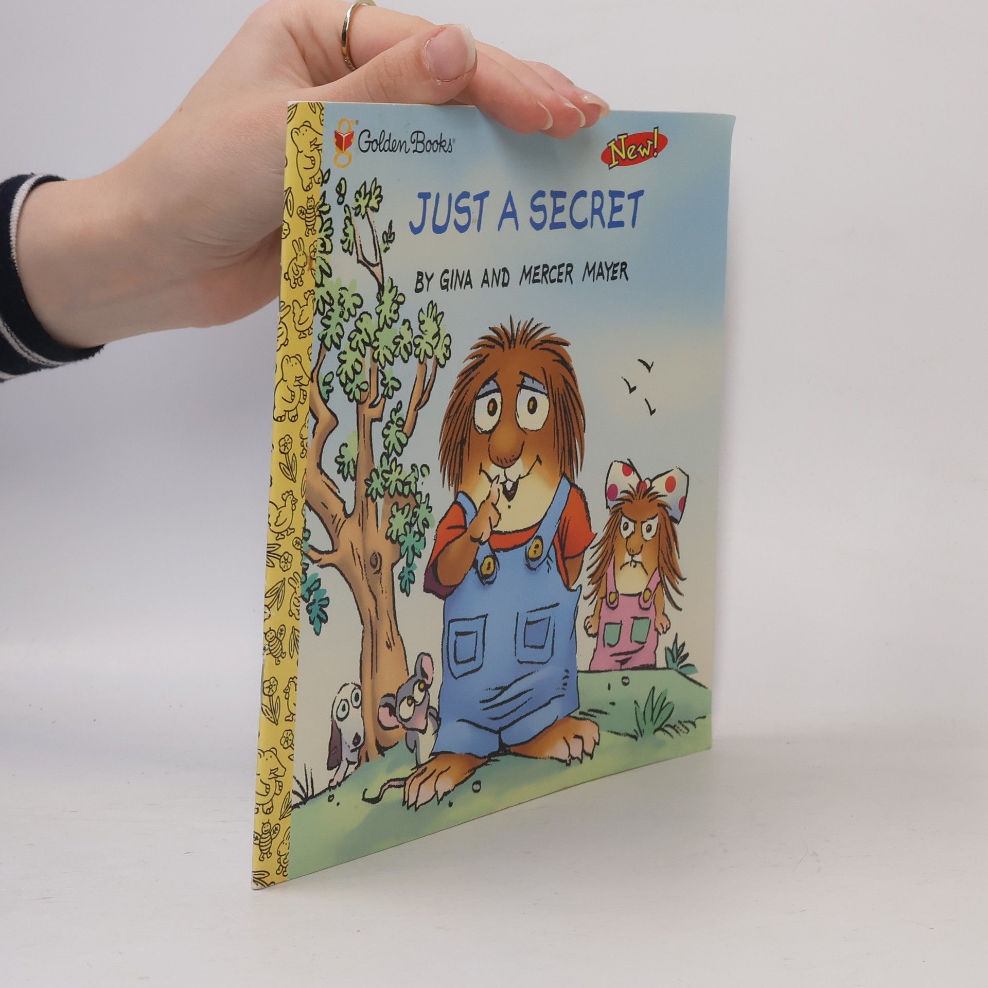 Little Critter: Just a Secret