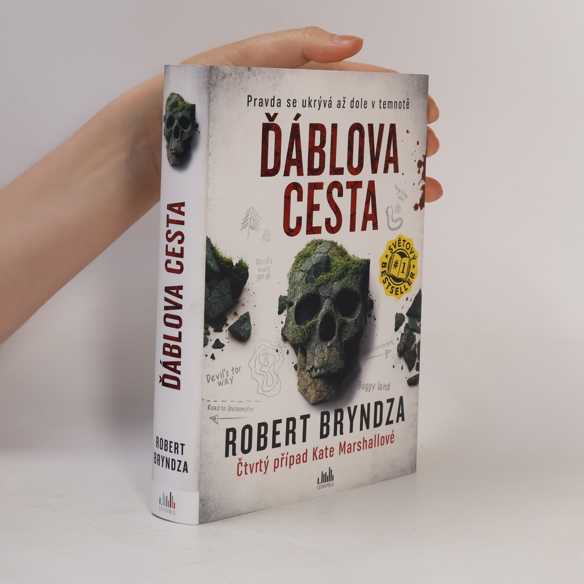 Robert Bryndza Ďáblova cesta