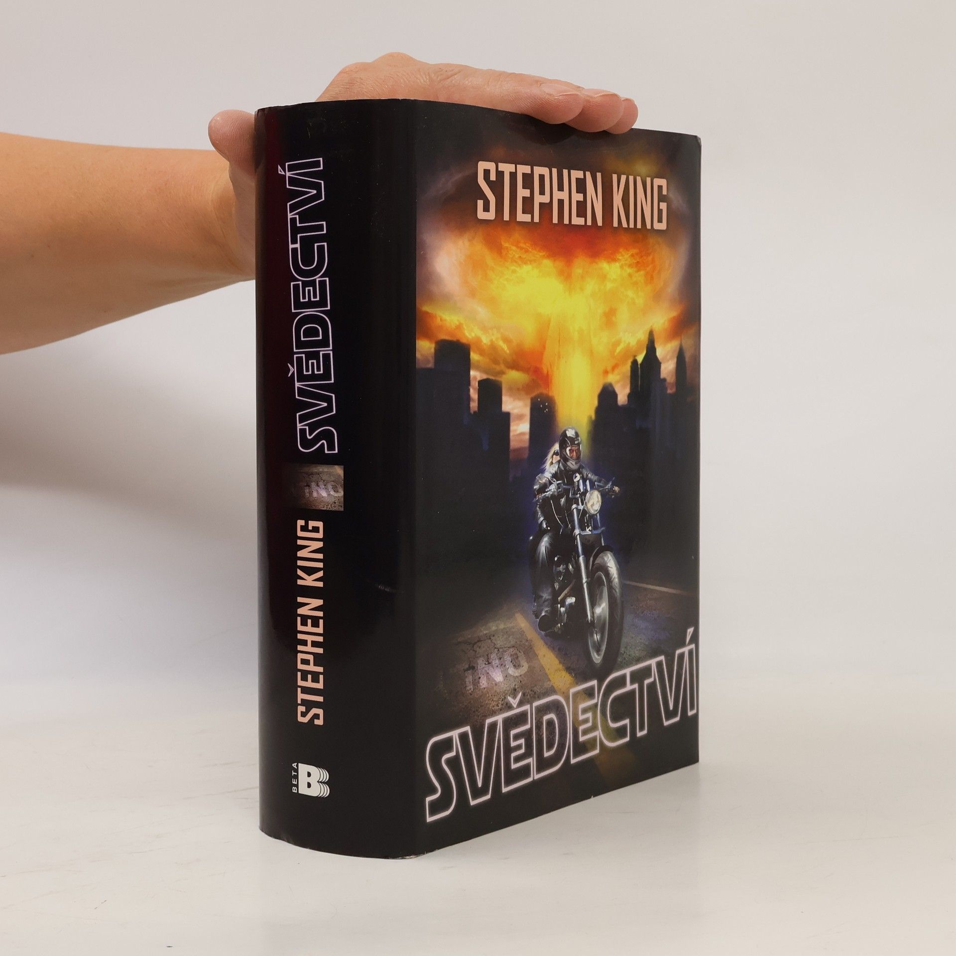 Stephen King Svědectví