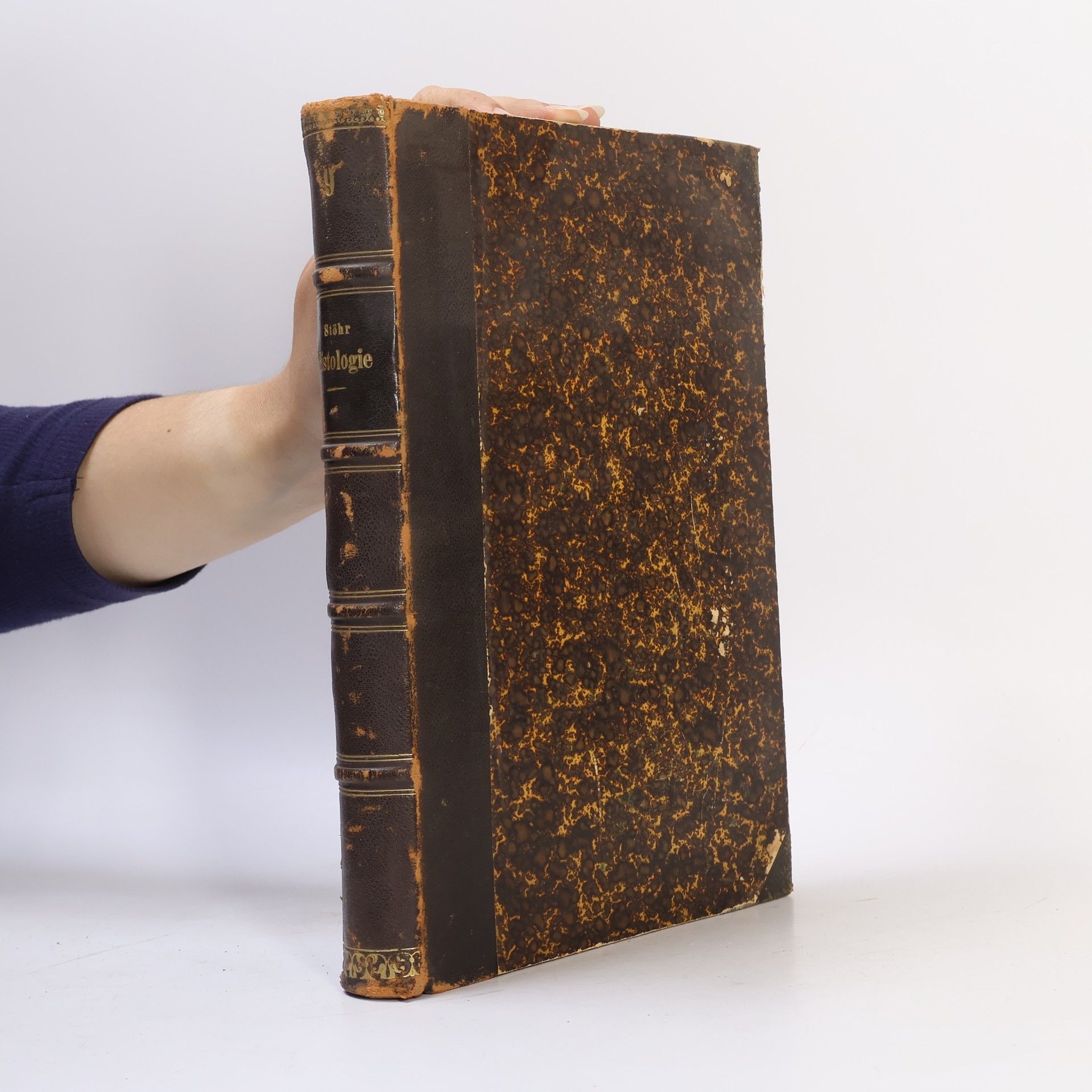 Autorenkollektiv Lehrbuch der Histologie und der mikroskopischen Anatomie des Menschen