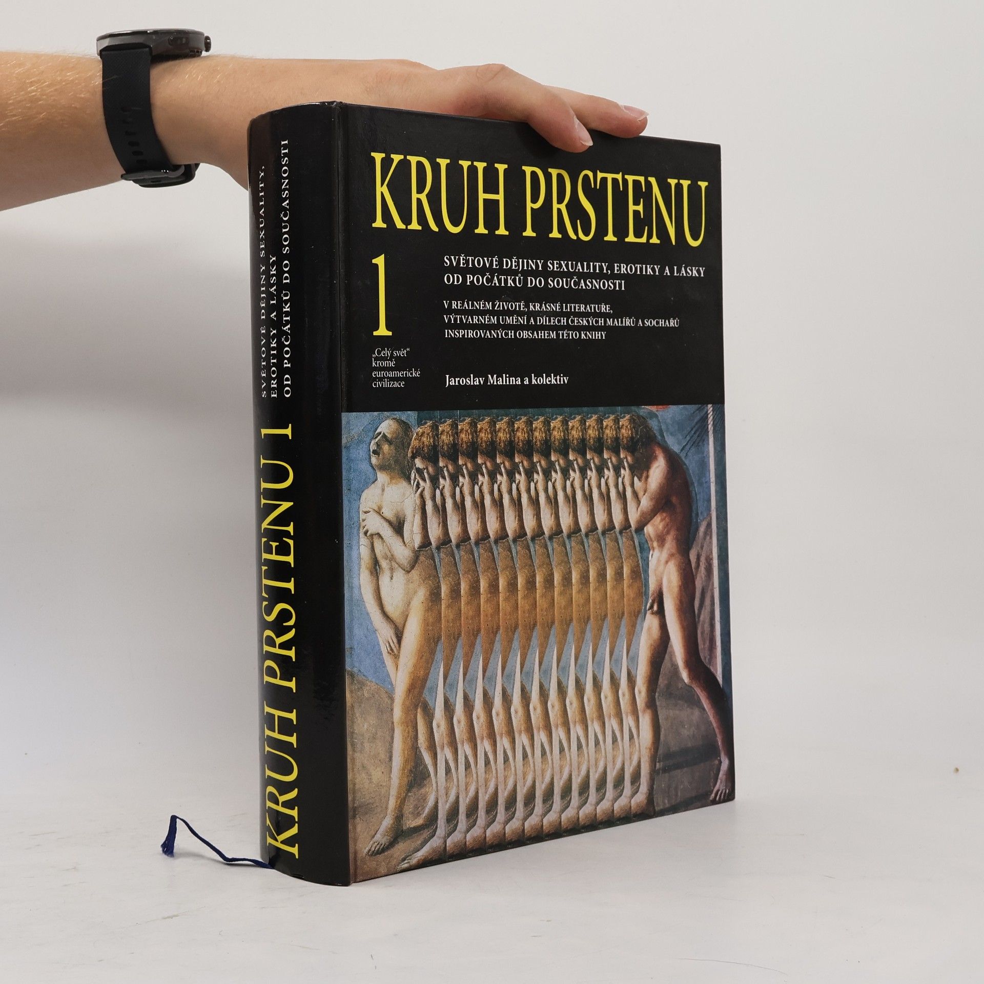 Kruh prstenu - 1.díl
