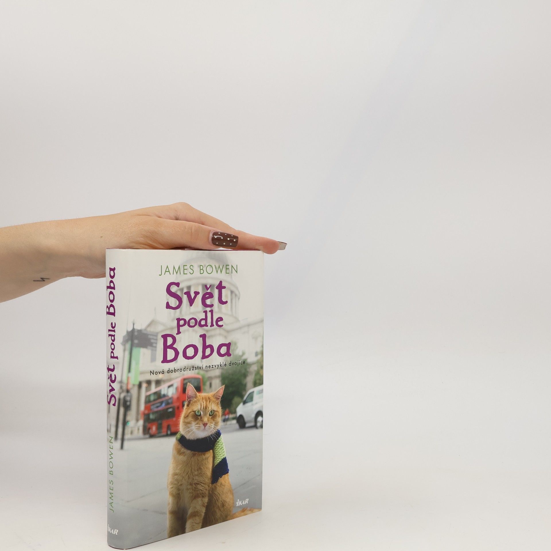 James Bowen Svět podle Boba