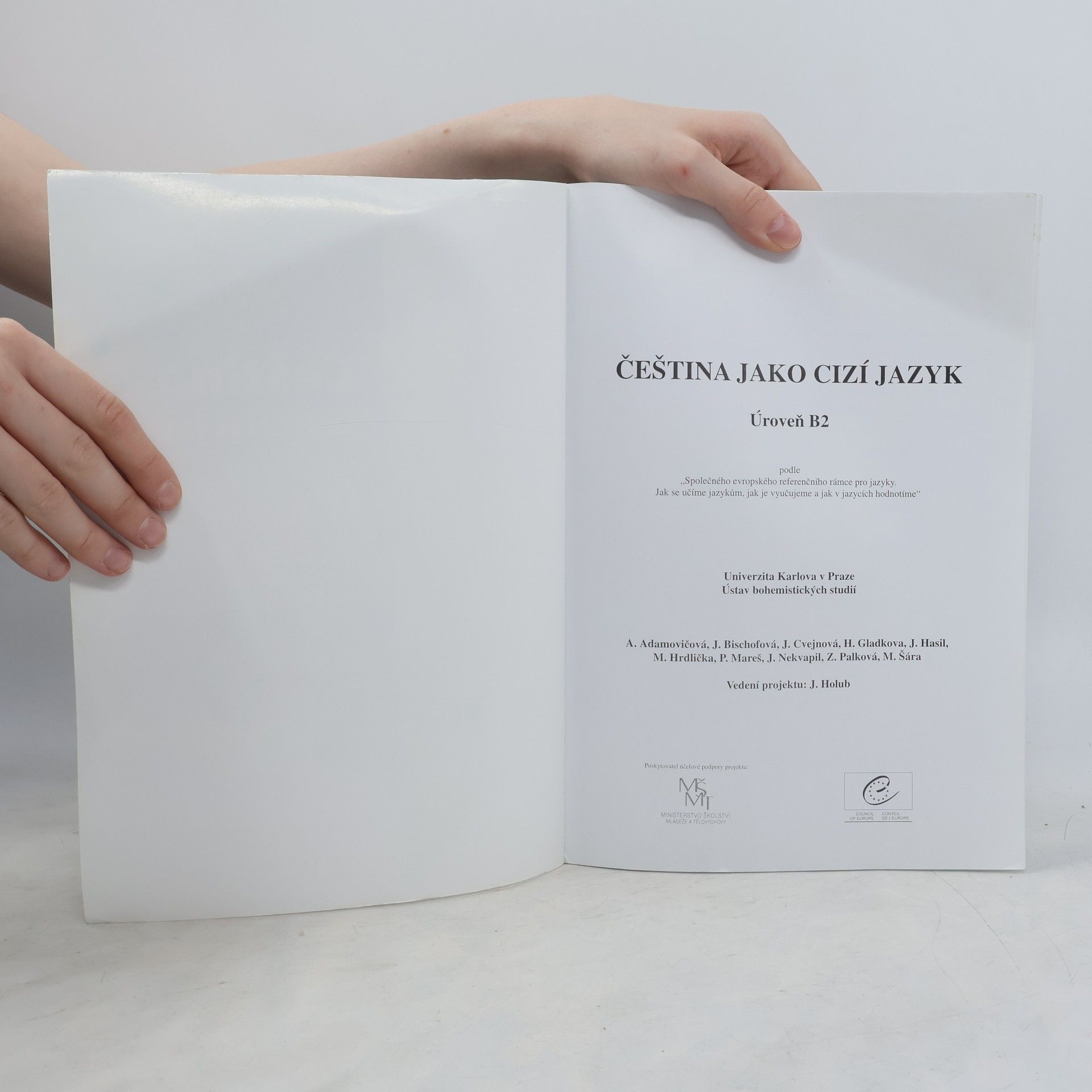 Collectif d'auteurs Čeština jako cizí jazyk. Úroveň B2