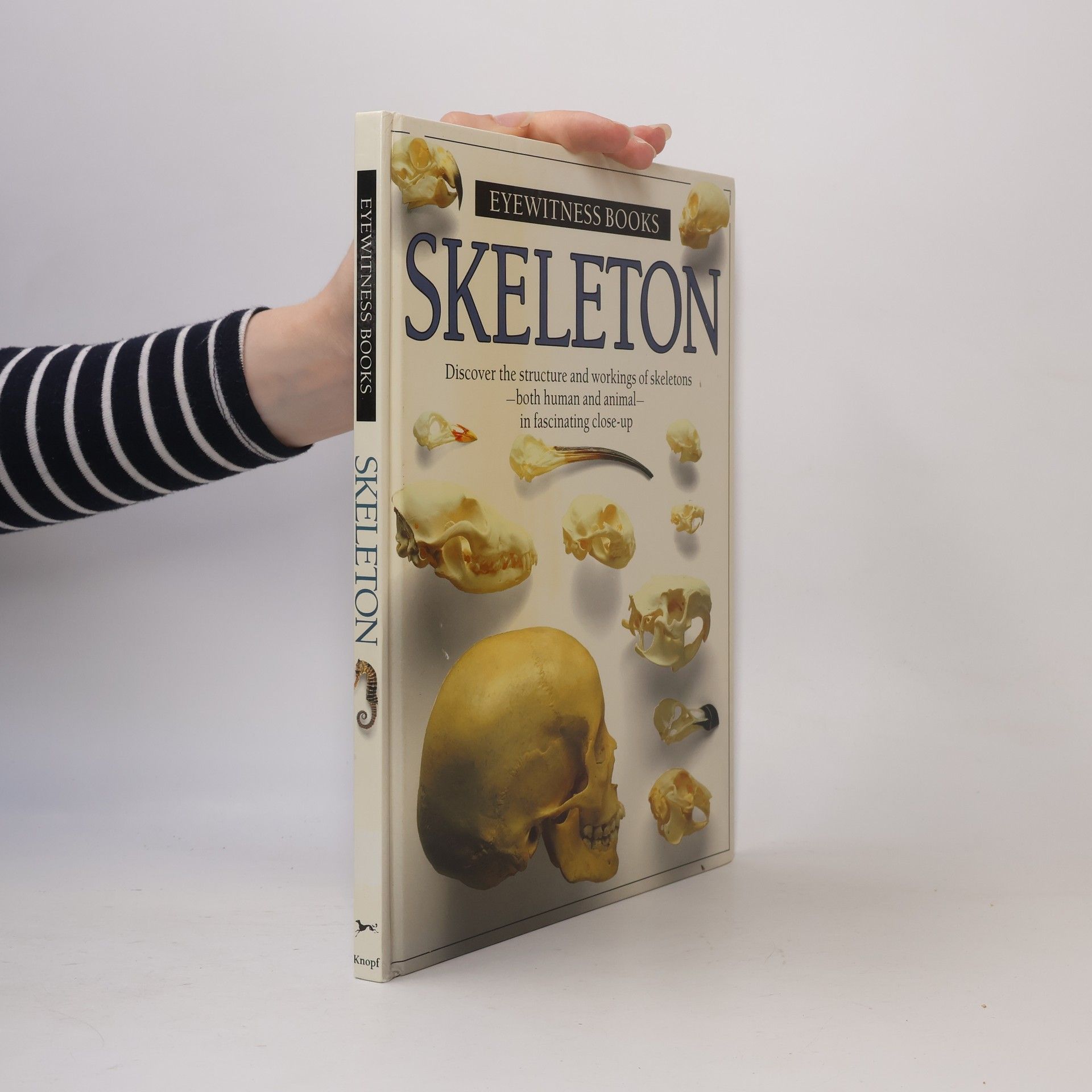 Steve Parker Skeleton