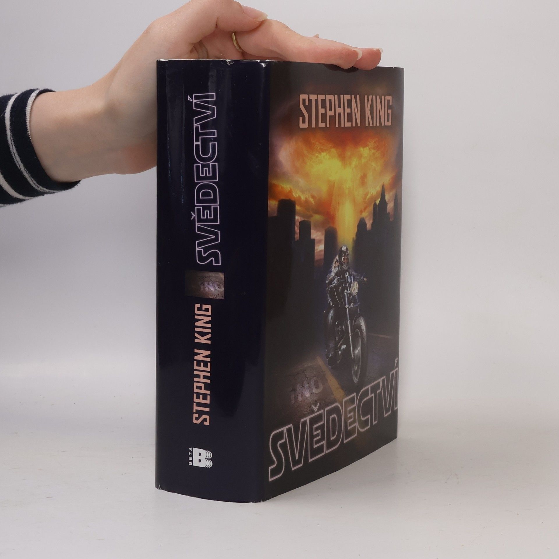 Stephen King Svědectví