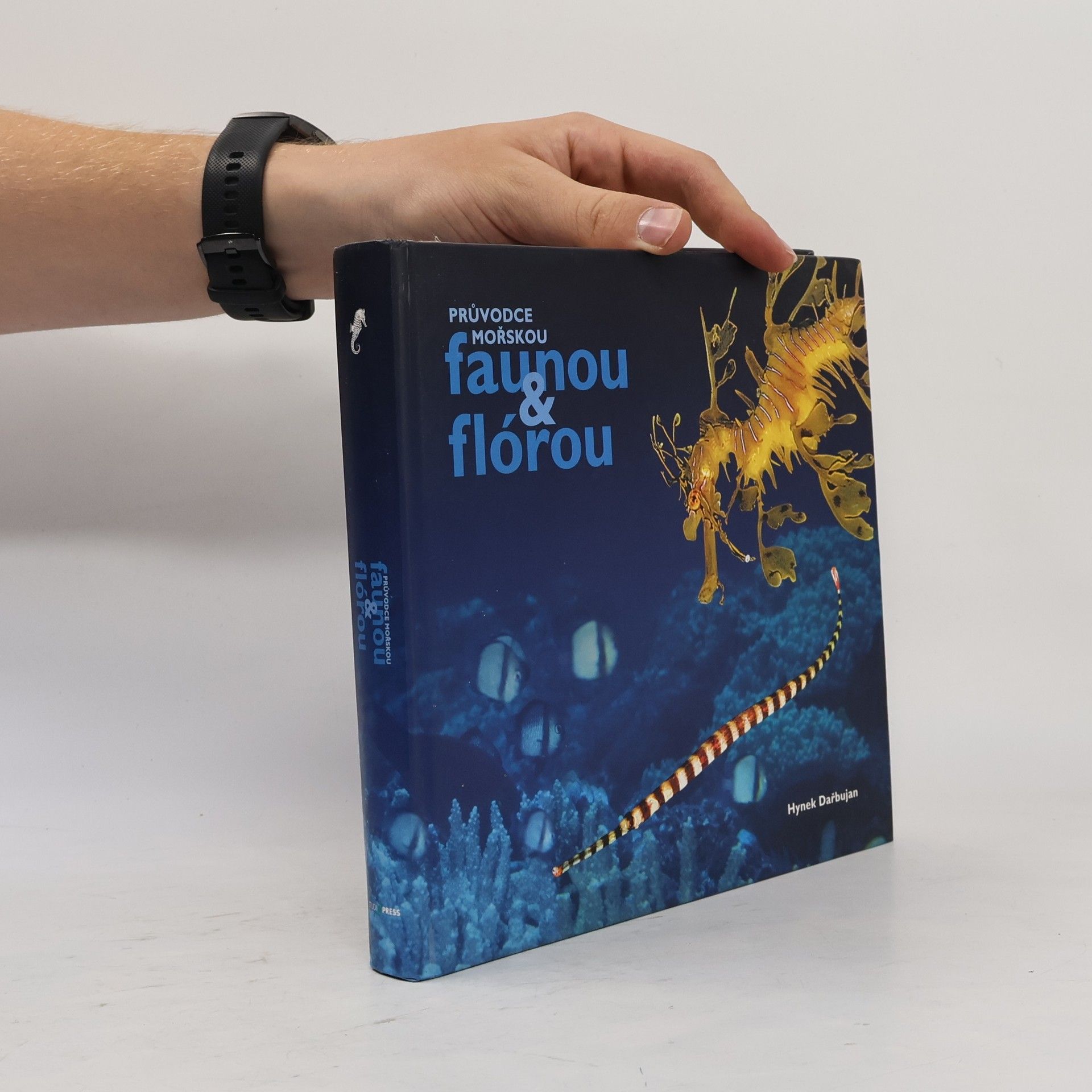 Hynek Dařbujan Průvodce mořskou faunou & flórou