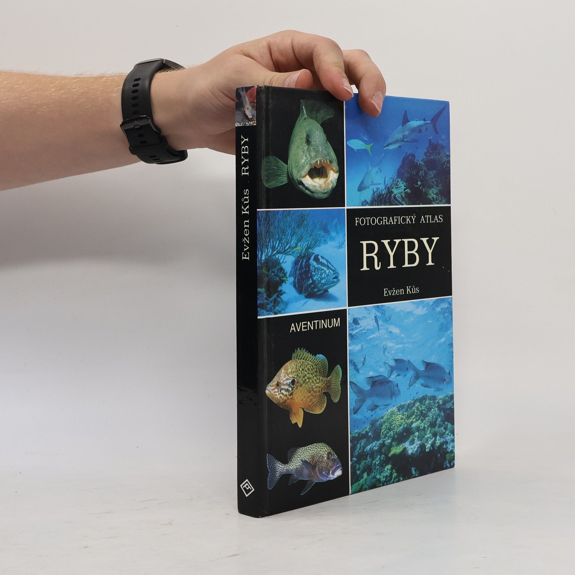 Evžen Kůs Ryby