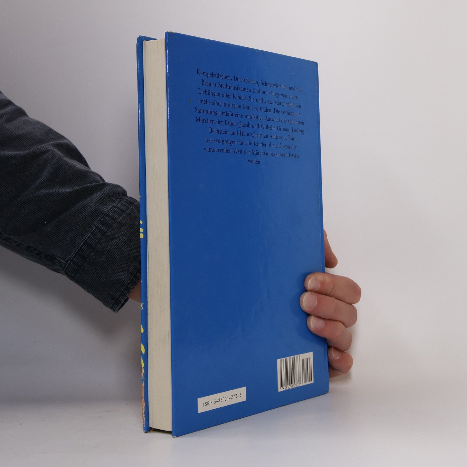 Autores varios Meine Lieblingsmärchen