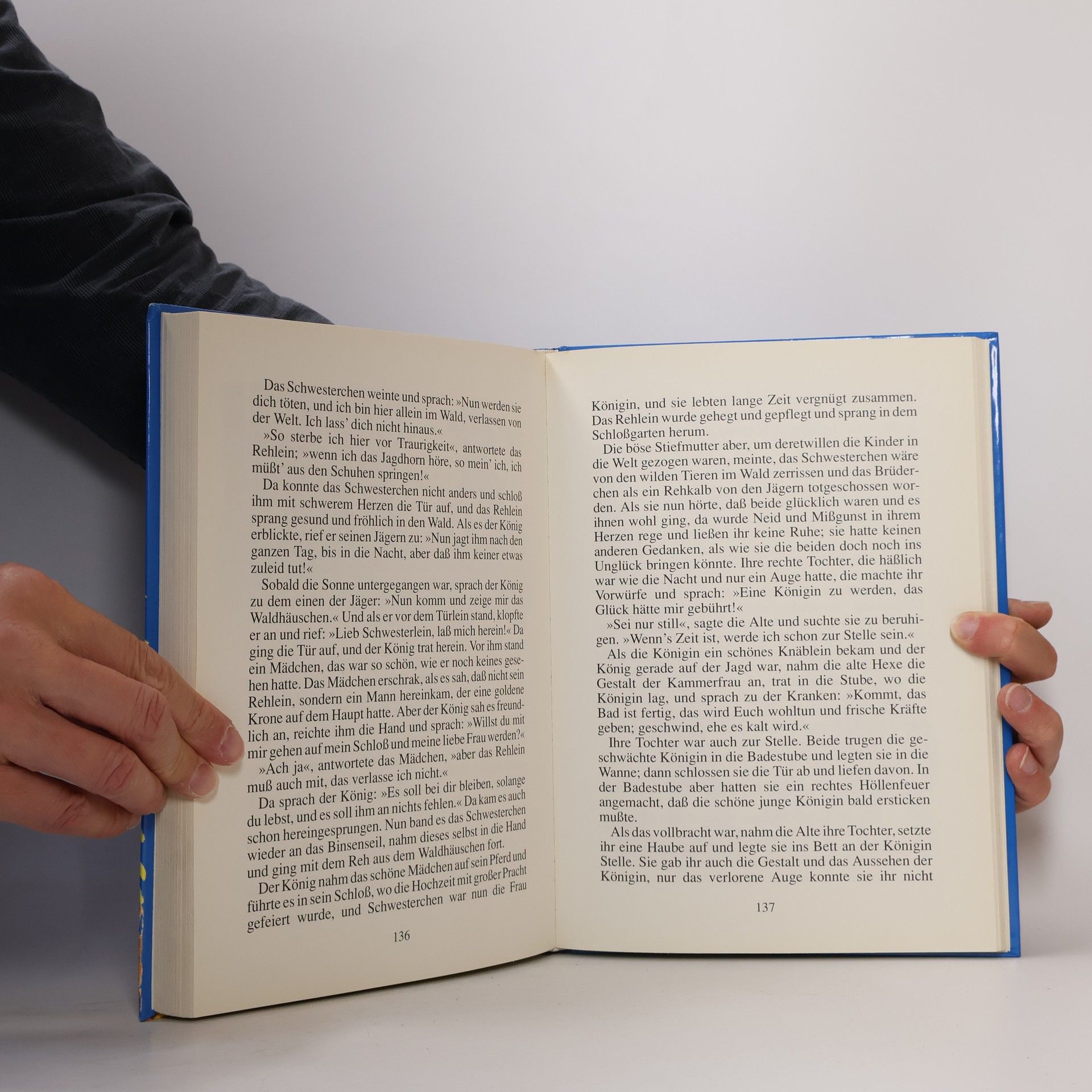 Autores varios Meine Lieblingsmärchen