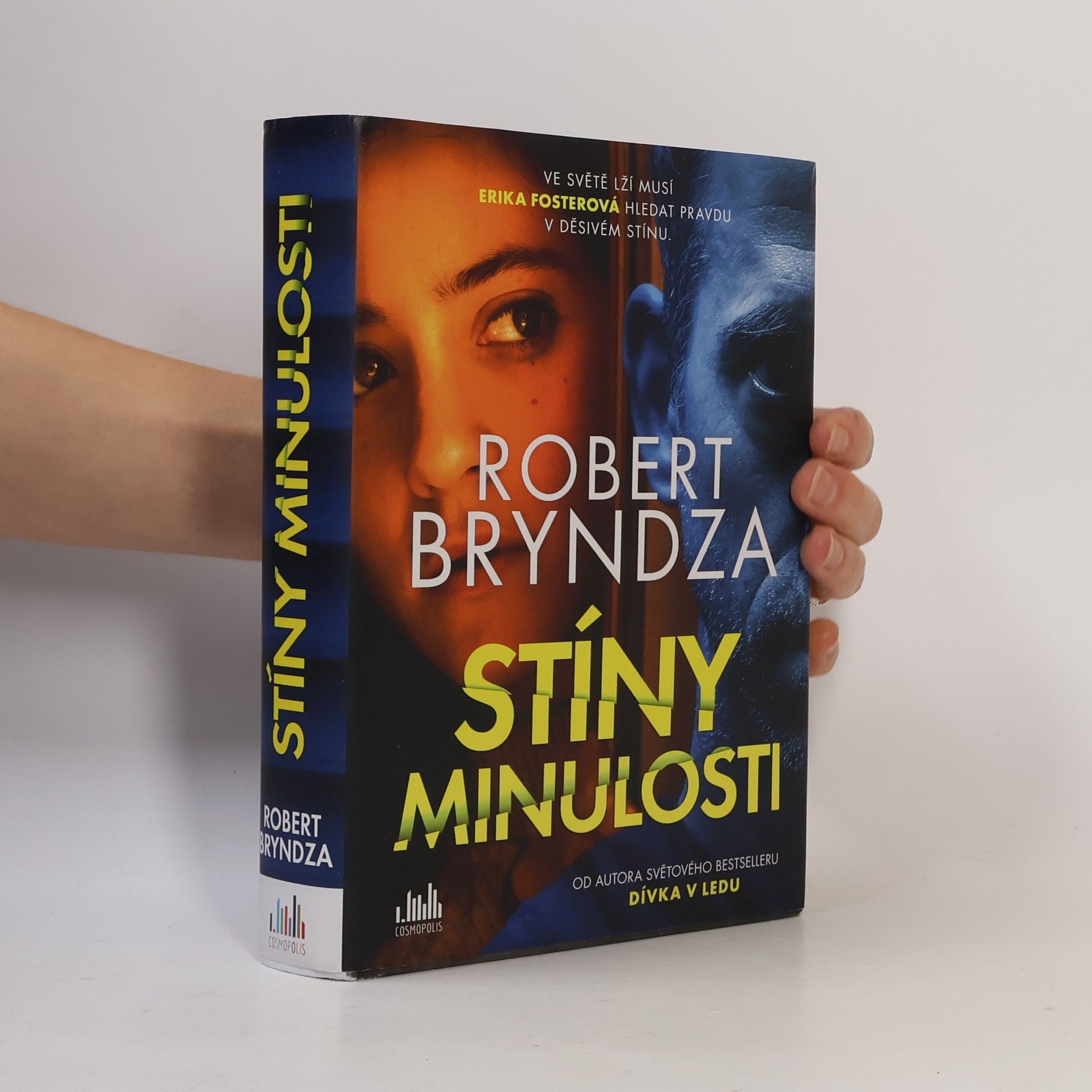 Robert Bryndza Stíny minulosti
