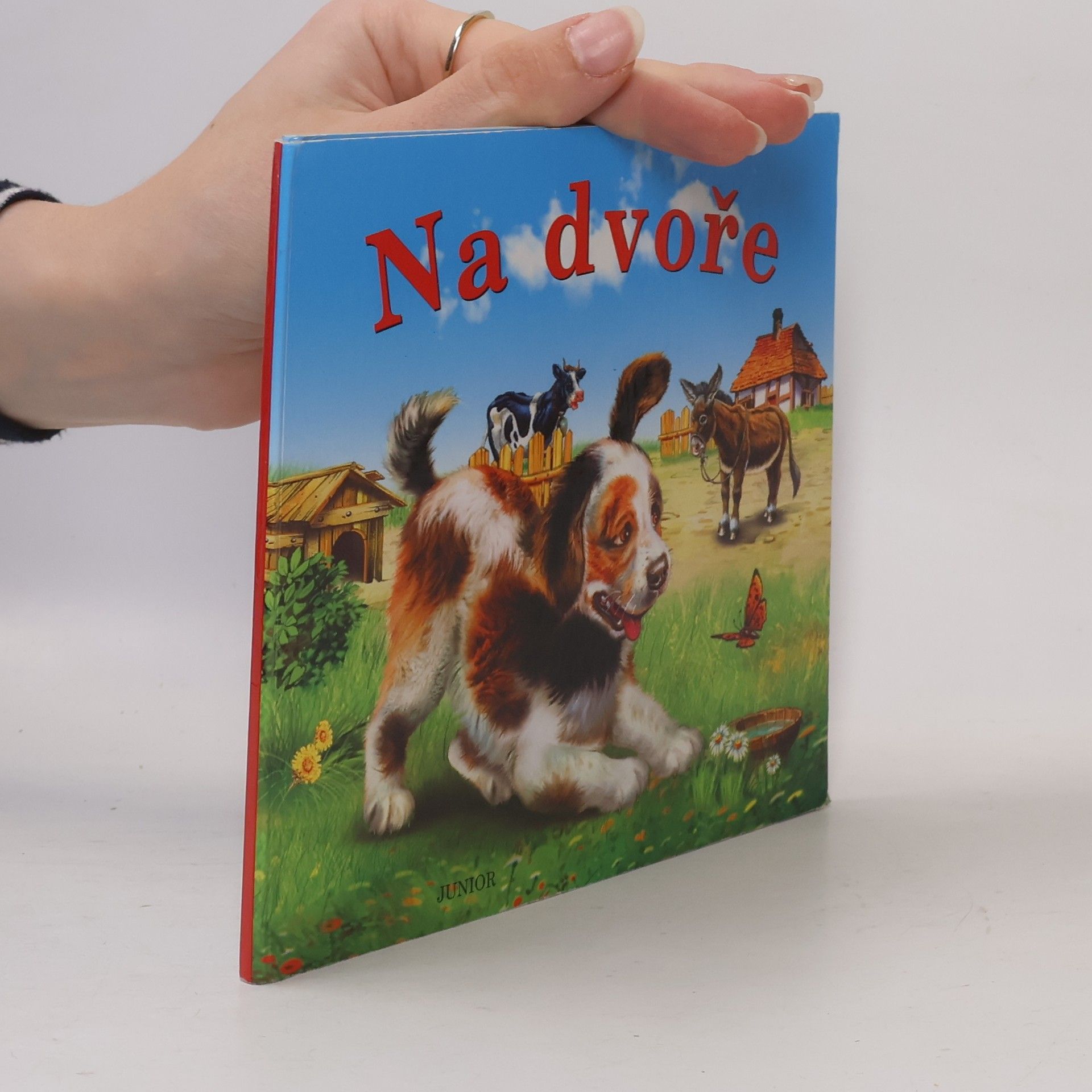 Zuzana Pospíšilová Na dvoře