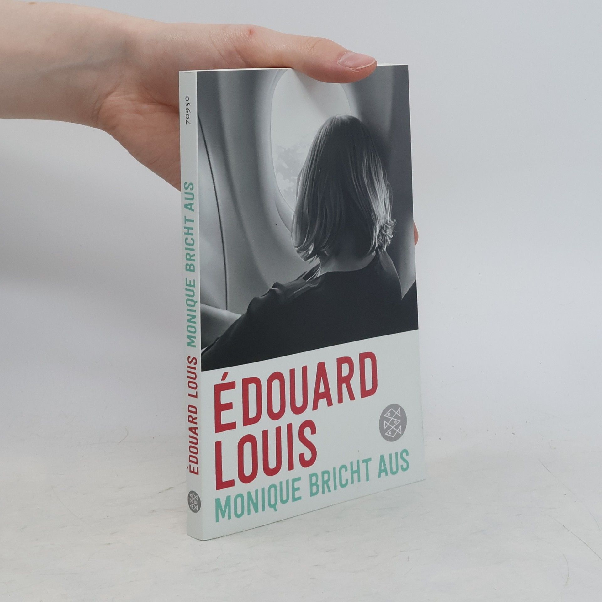 Édouard Louis Monique bricht aus