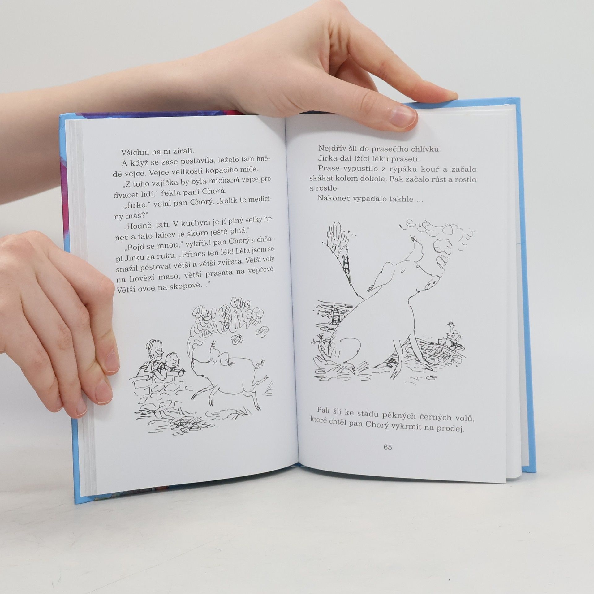 Roald Dahl Jirkova zázračná medicína