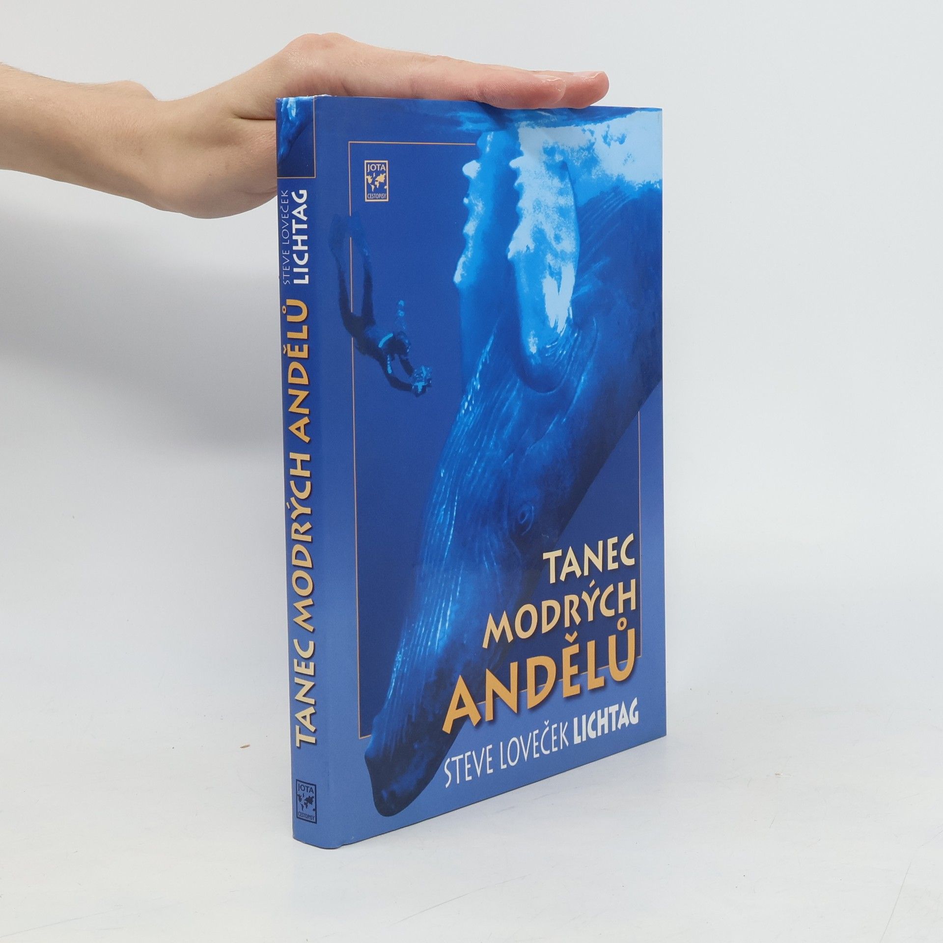 Tom Conlin Tanec modrých andělů