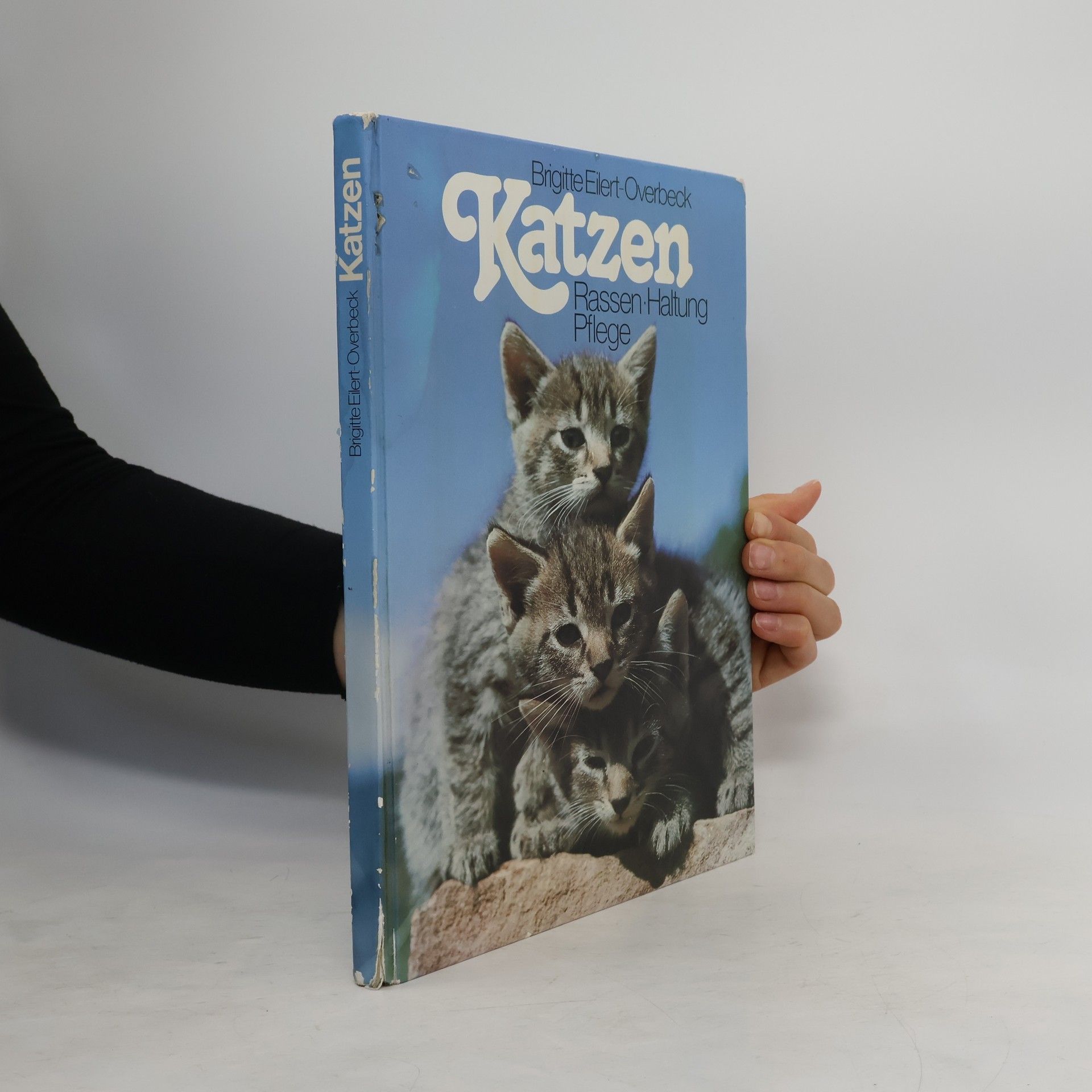 Brigitte Eilert-Overbeck Katzen
