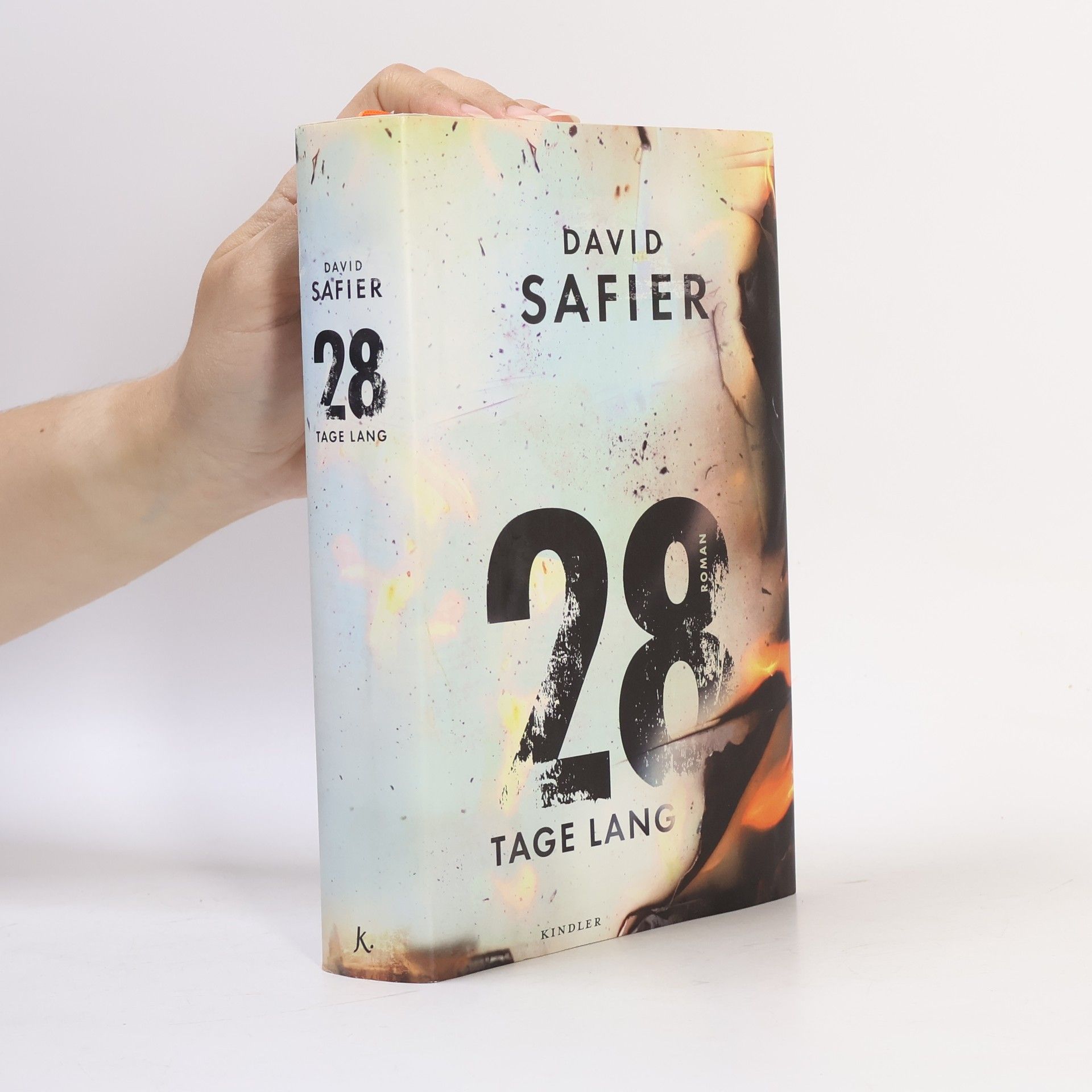 David Safier 28 Tage lang