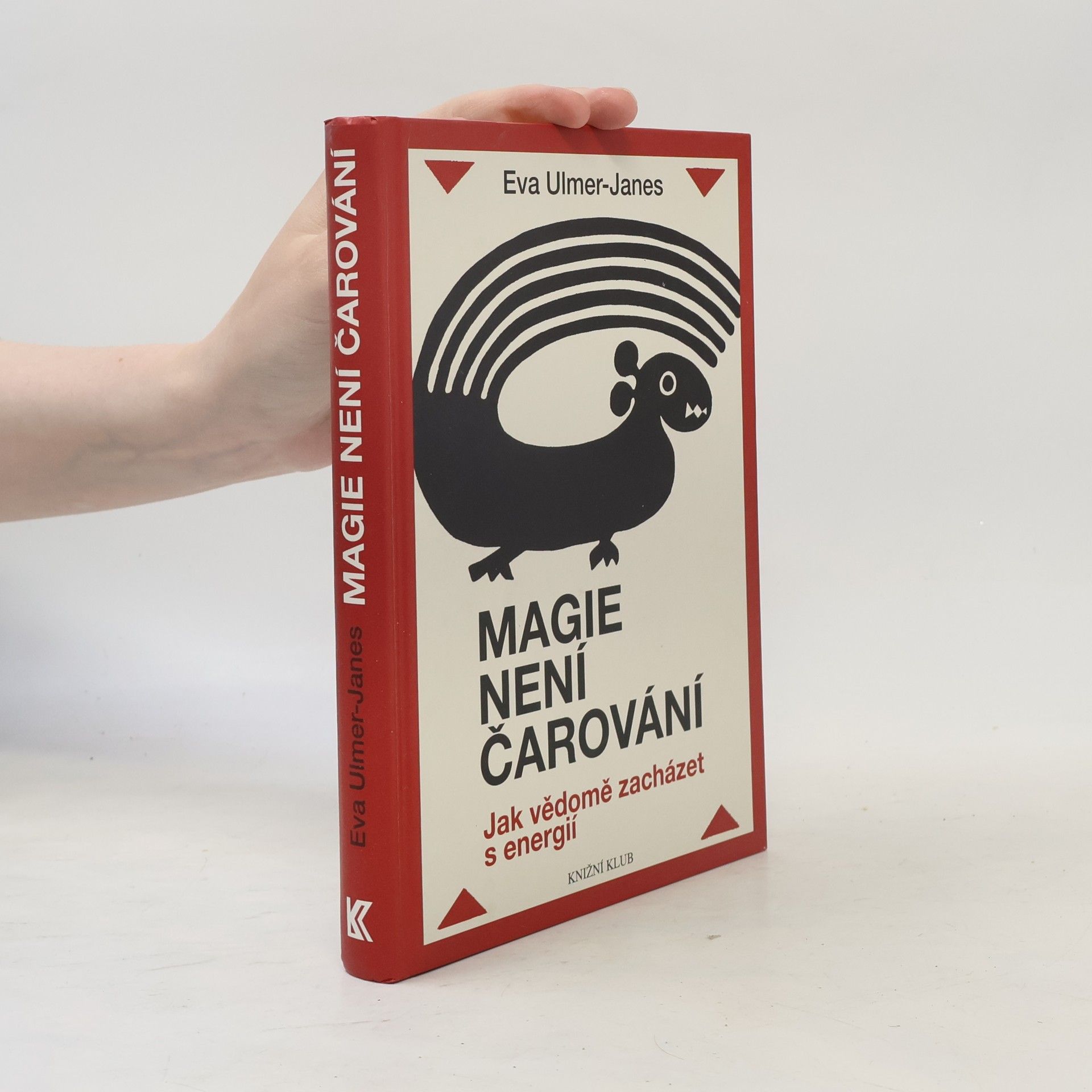 Eva Ulmer Janes Magie není čarování