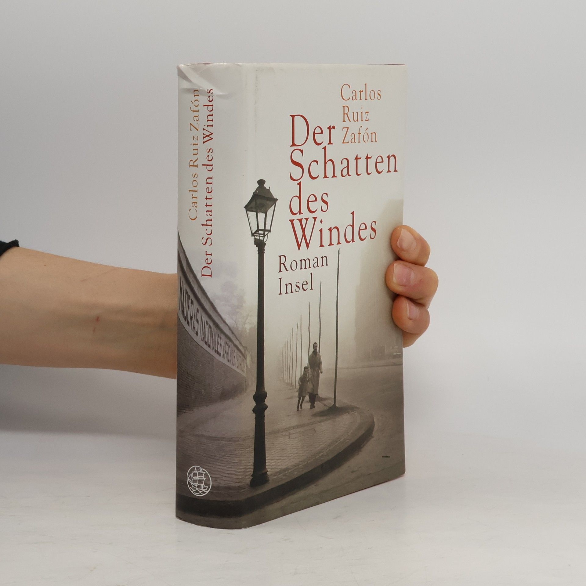 Carlos Ruiz Zafón Der Schatten des Windes