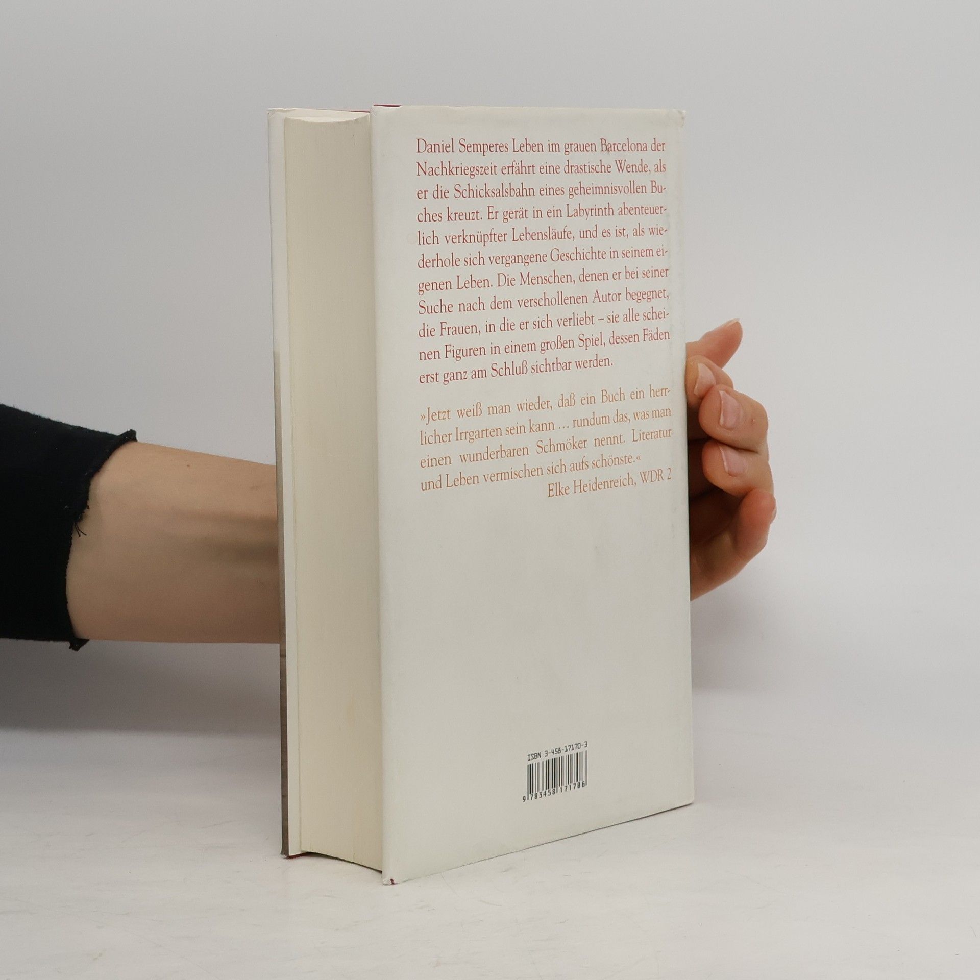 Carlos Ruiz Zafón Der Schatten des Windes