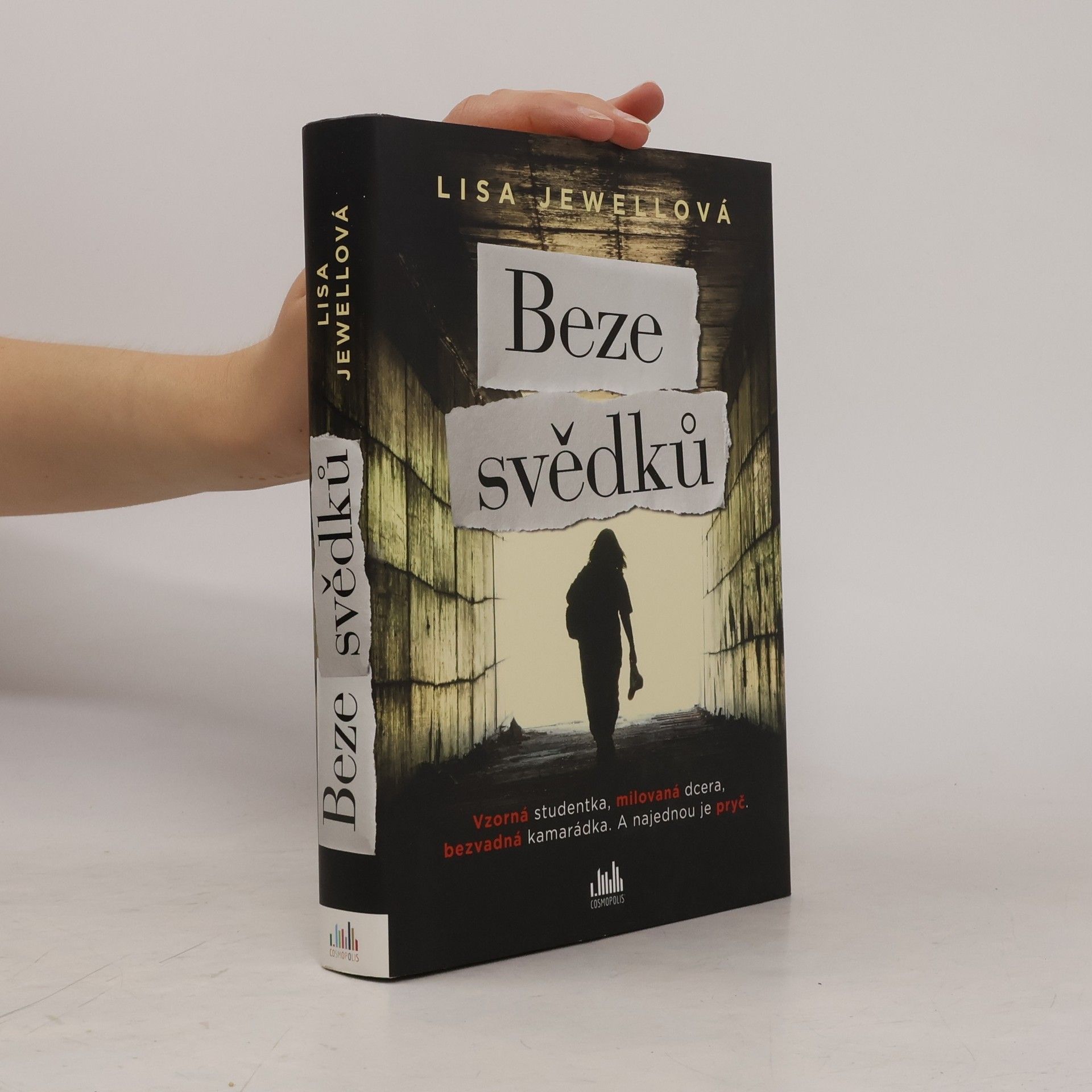 Lisa Jewell Beze svědků