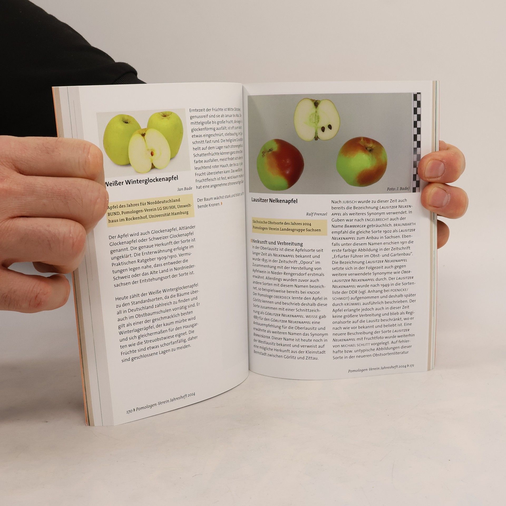 Pomologen-Verein e.V. - Jahresheft 2024: Themenschwerpunkt: Seltenes Obst und Wildobst