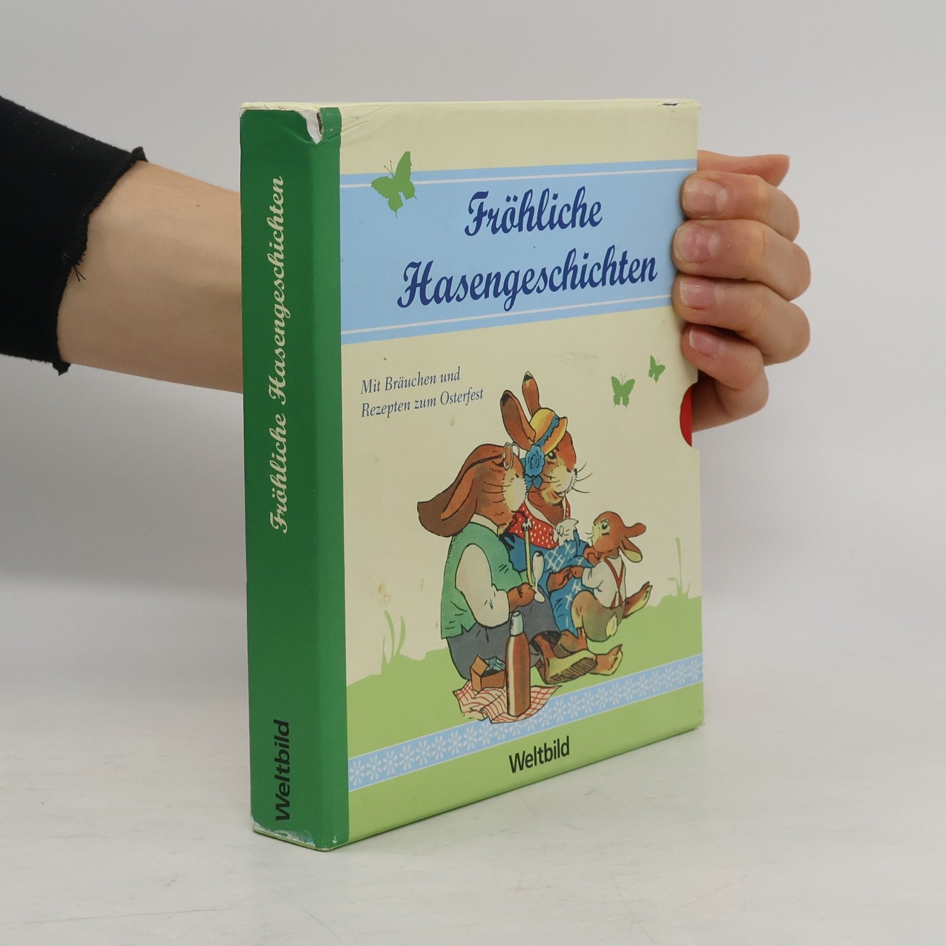 Daniela Layer Fröhliche Hasengeschichten