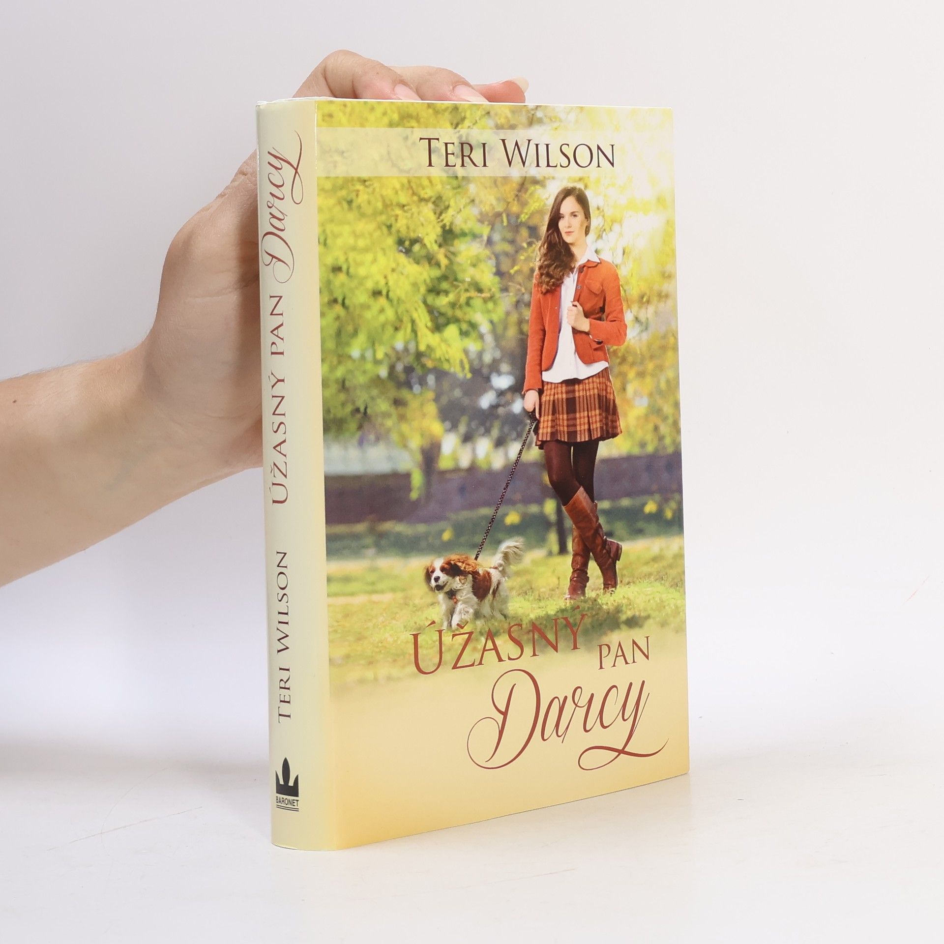 Teri Wilson Úžasný pan Darcy