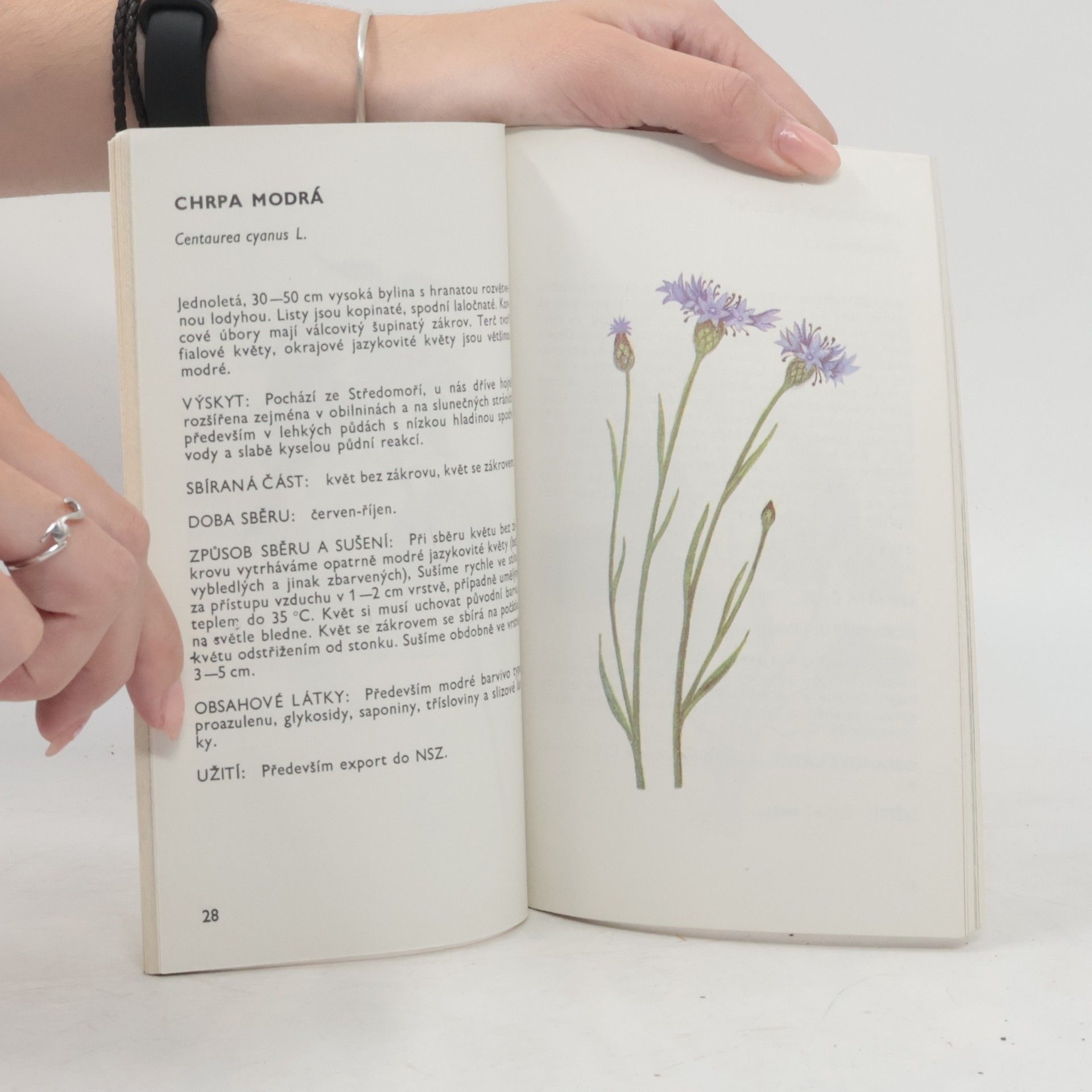 Ludmila Černá Malý herbář léčivých rostlin